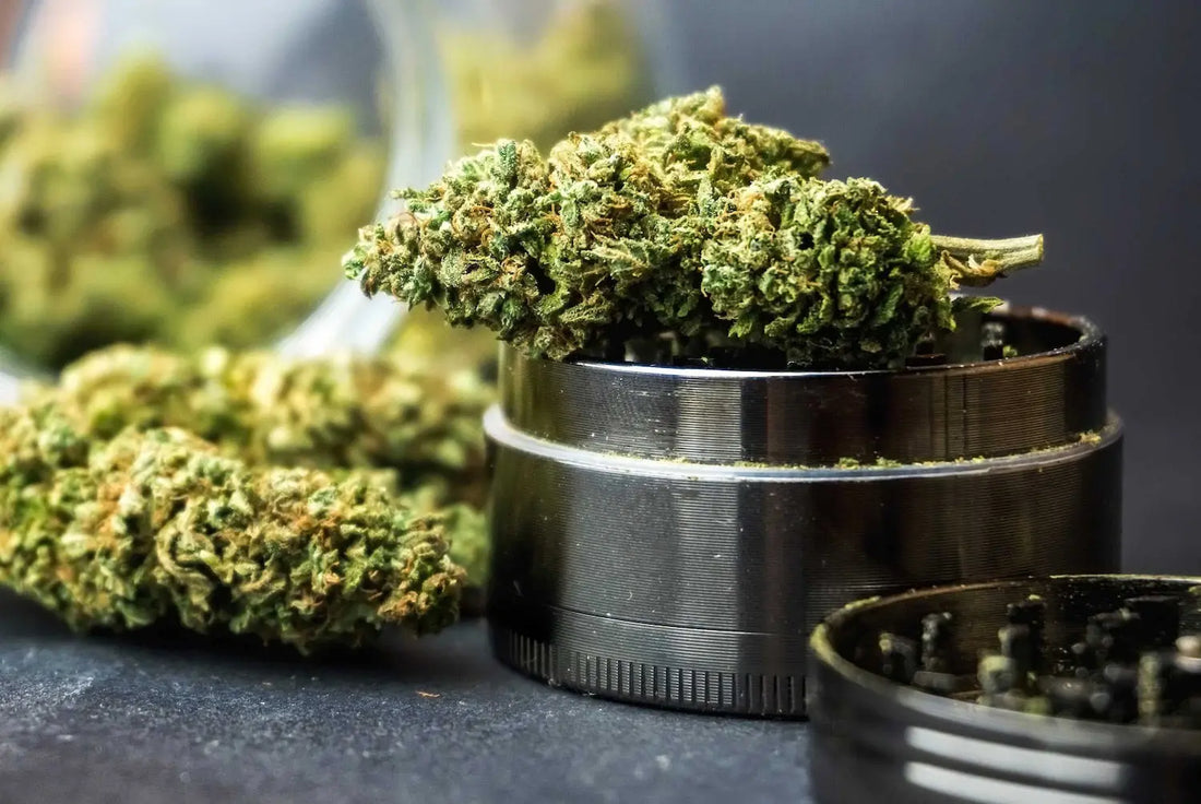 How-long-until-Marijuana-actually-goes-bad Frisco Labs