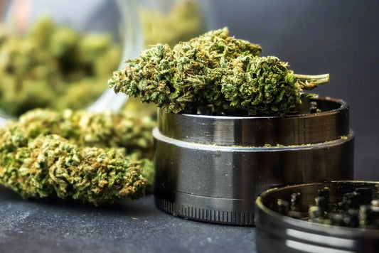 How-long-until-Marijuana-actually-goes-bad Frisco Labs