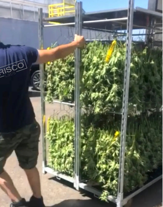 What-will-the-2023-Farm-Bill-Include Frisco Labs