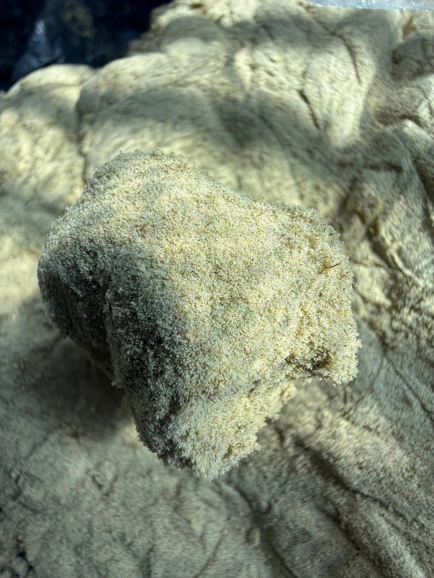 1 Pound THCA Kief FL Fulfillment Center