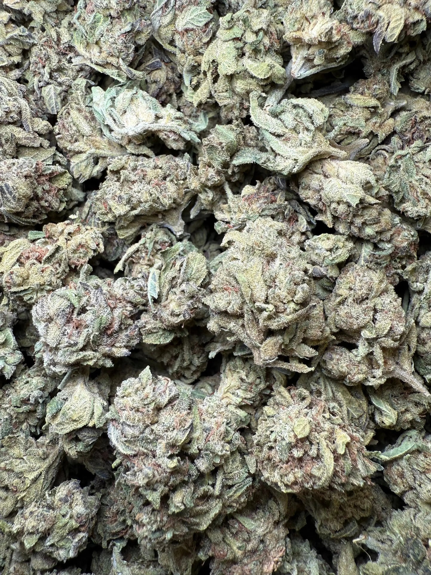 1/2 Pound - Lemon Cherry Gelato X Wedding Cake THCA Frisco Labs