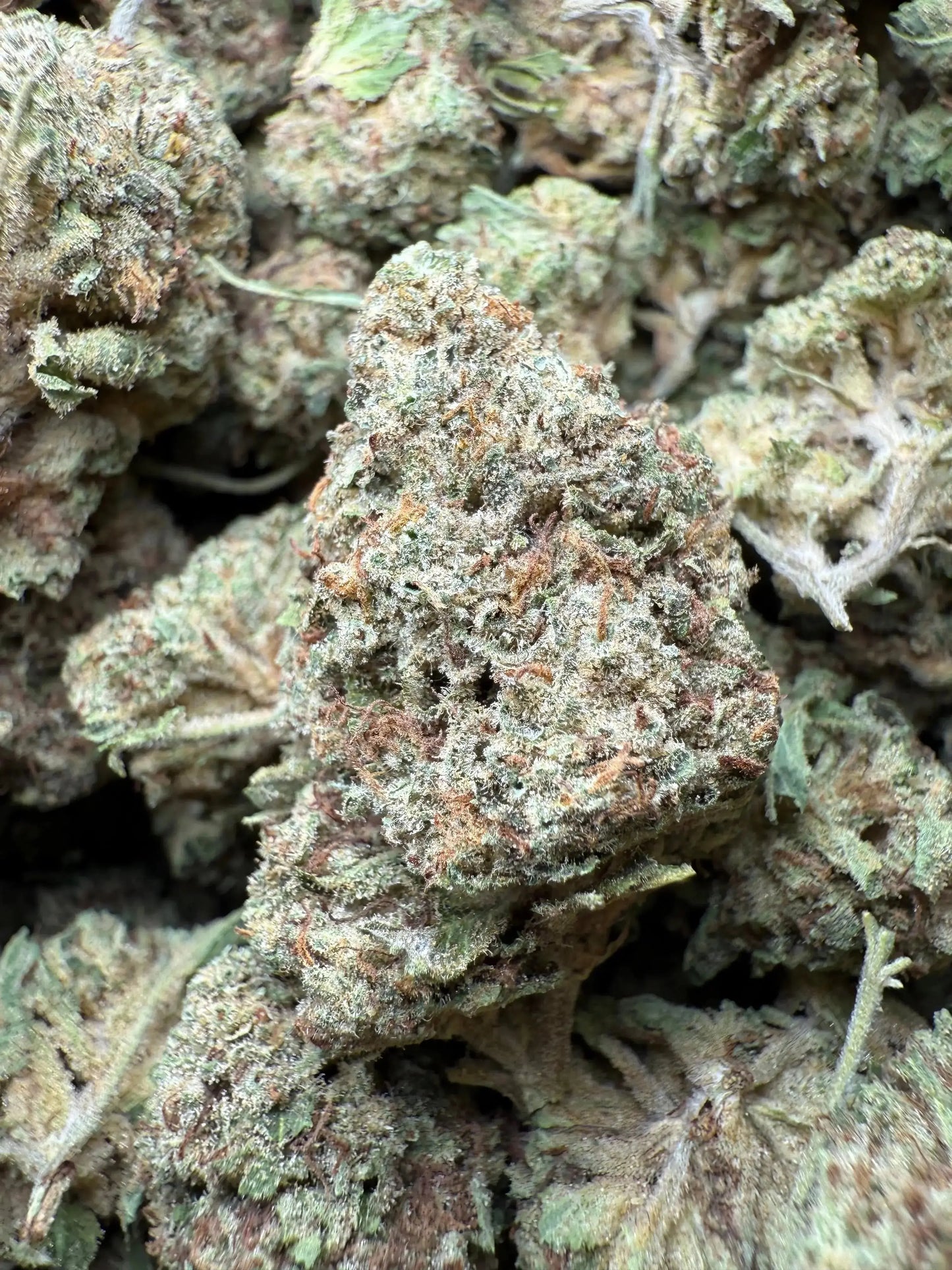 1 Pound Chocolate Kush THCA FL Fulfillment Center