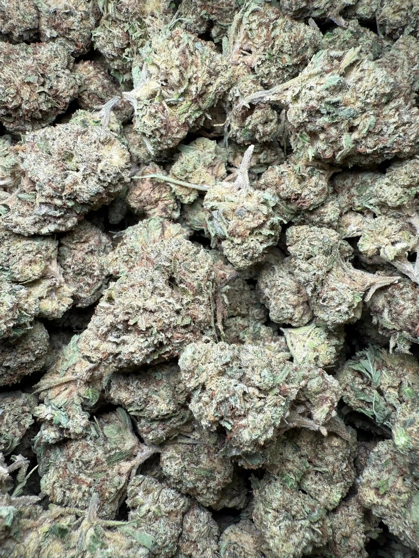 1 Pound Chocolate Kush THCA FL Fulfillment Center