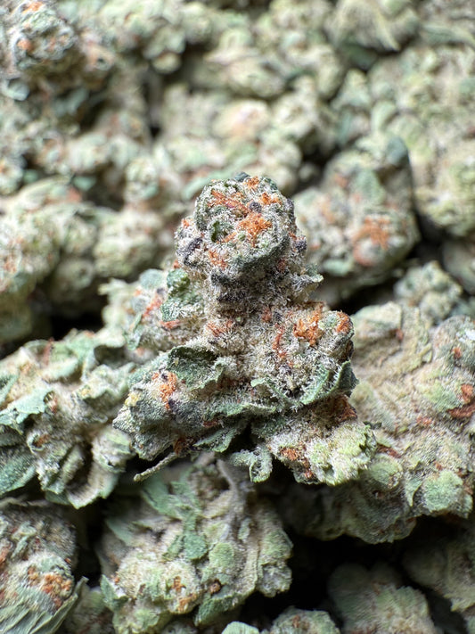 1/8 oz Super Sonic THCA FL Fulfillment Center