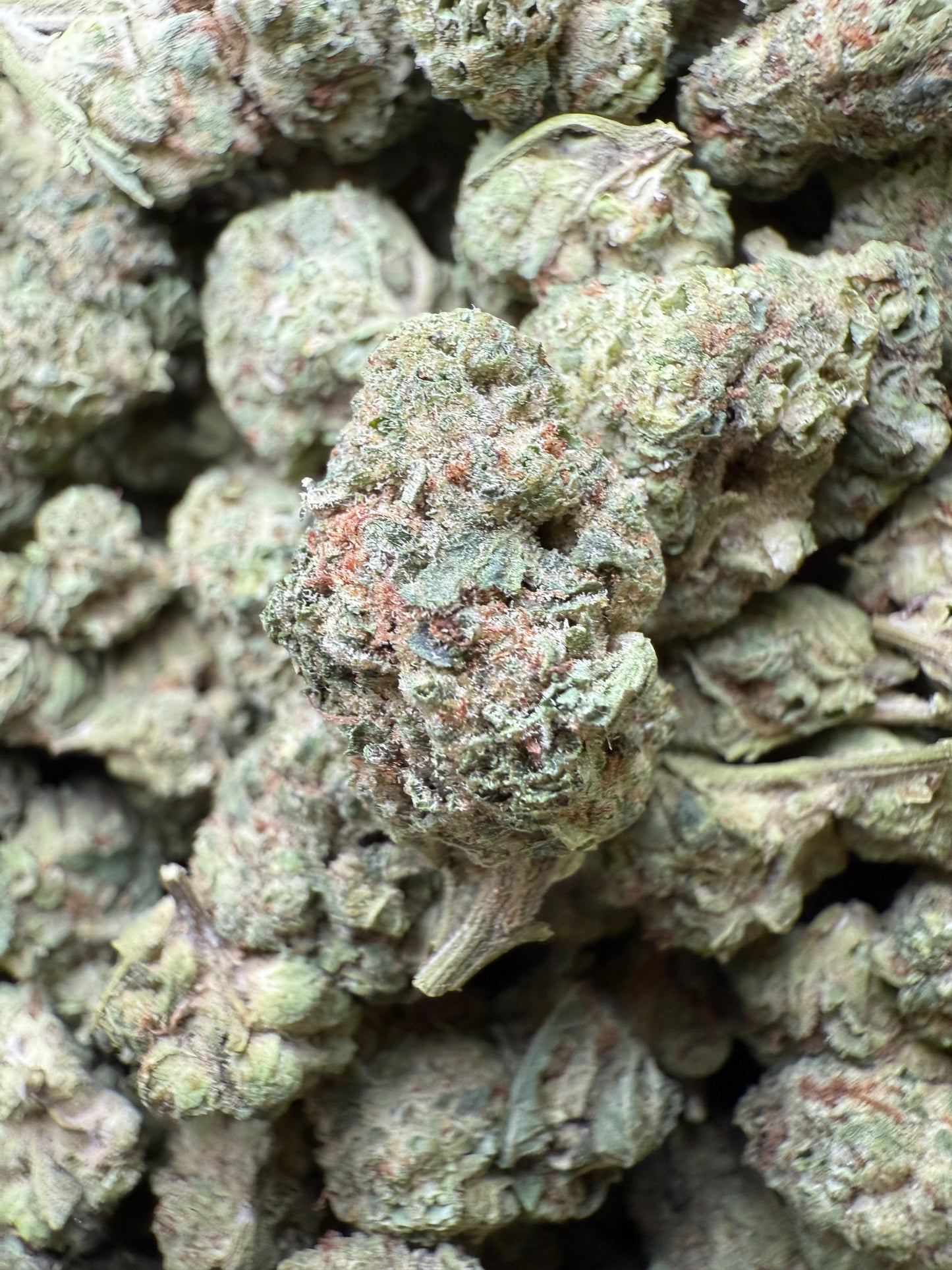 1 Pound - Afgooey THCA Strain (Small) Frisco Labs