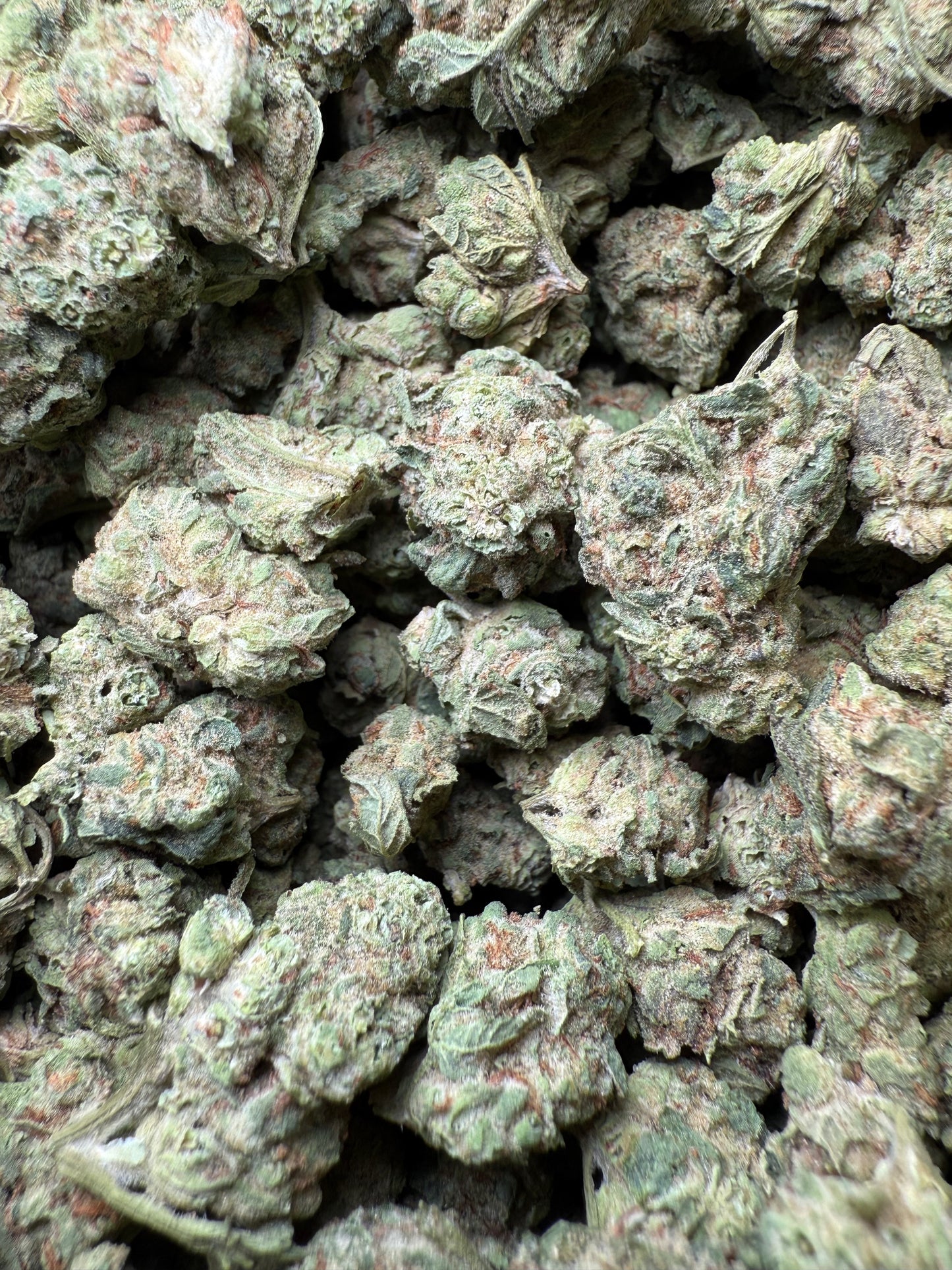 1 Pound - Afgooey THCA Strain (Small) Frisco Labs
