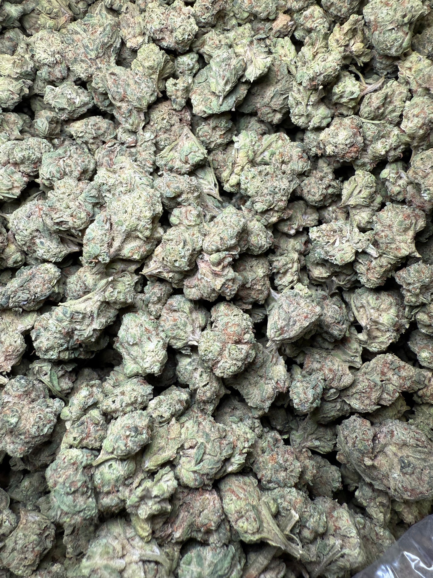 1 Pound - Afgooey THCA Strain (Small) Frisco Labs