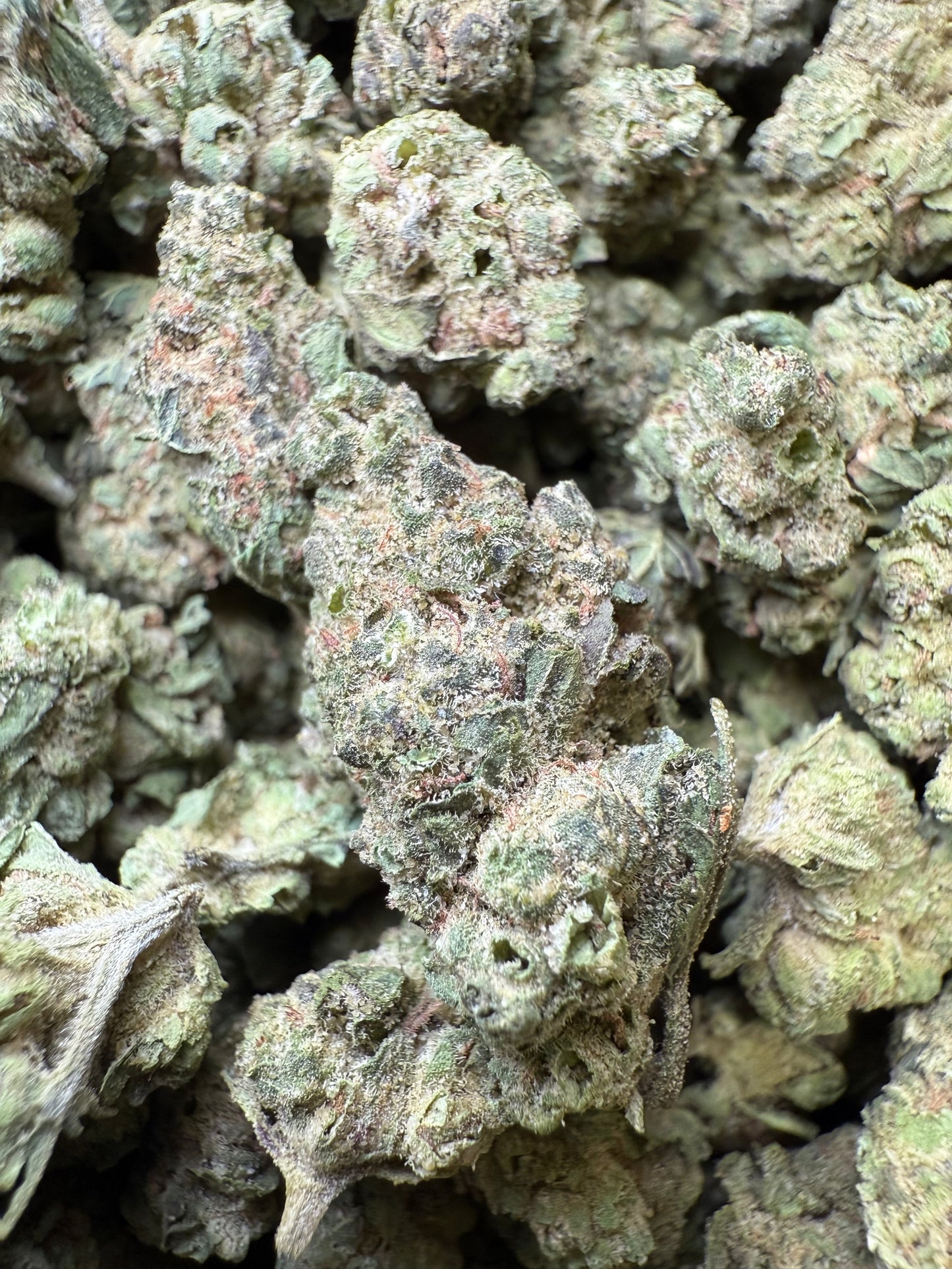 1 Pound - Double Burger THCA Strain (Small) Frisco Labs