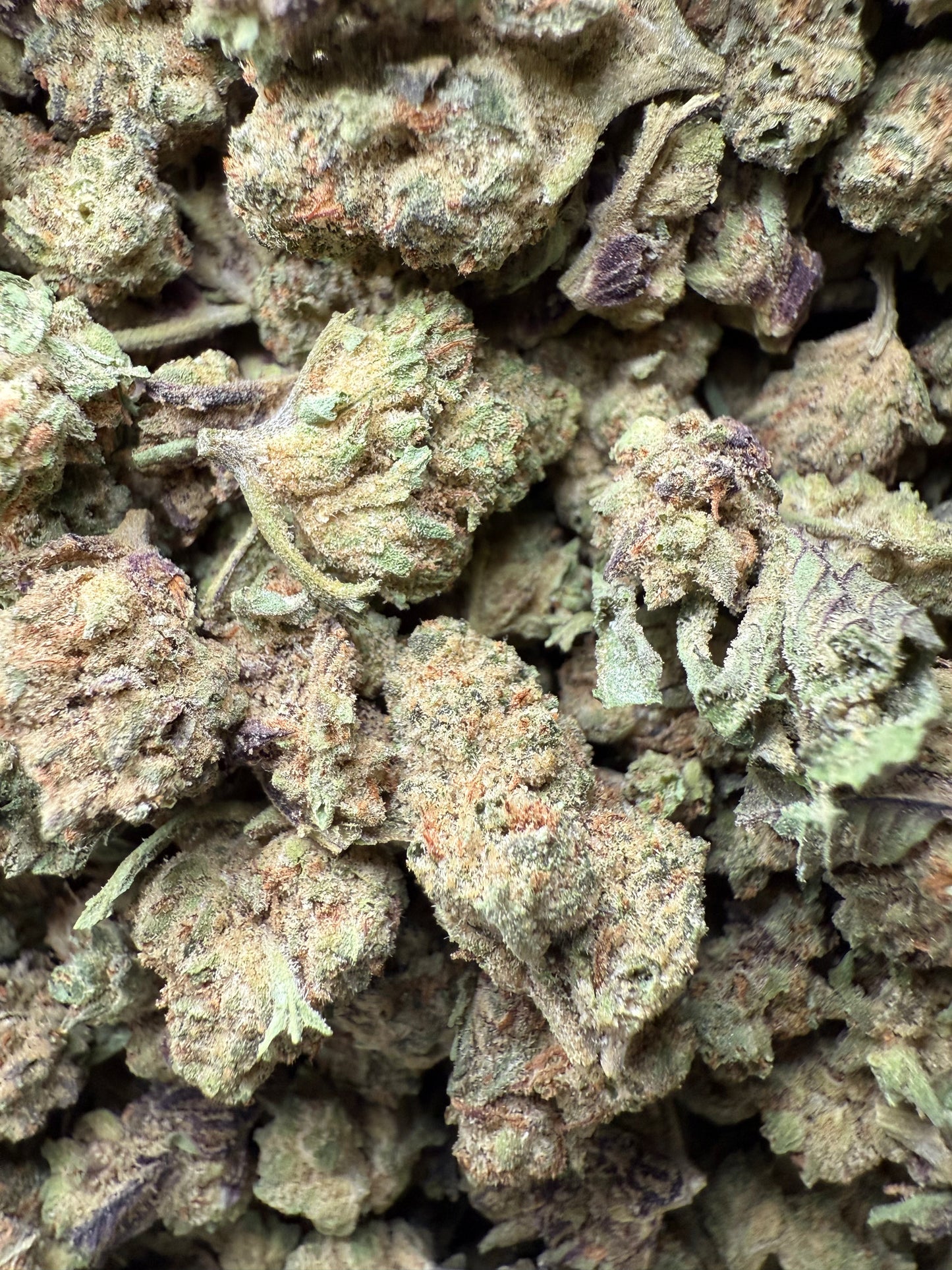 1 Pound - Double Burger THCA Strain (Small) Frisco Labs