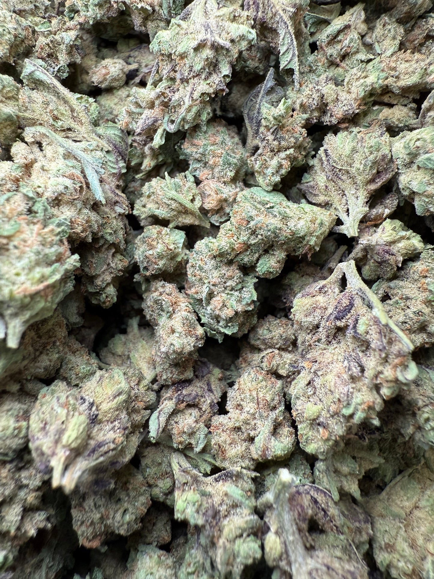 1 Pound - Double Burger THCA Strain (Small) Frisco Labs