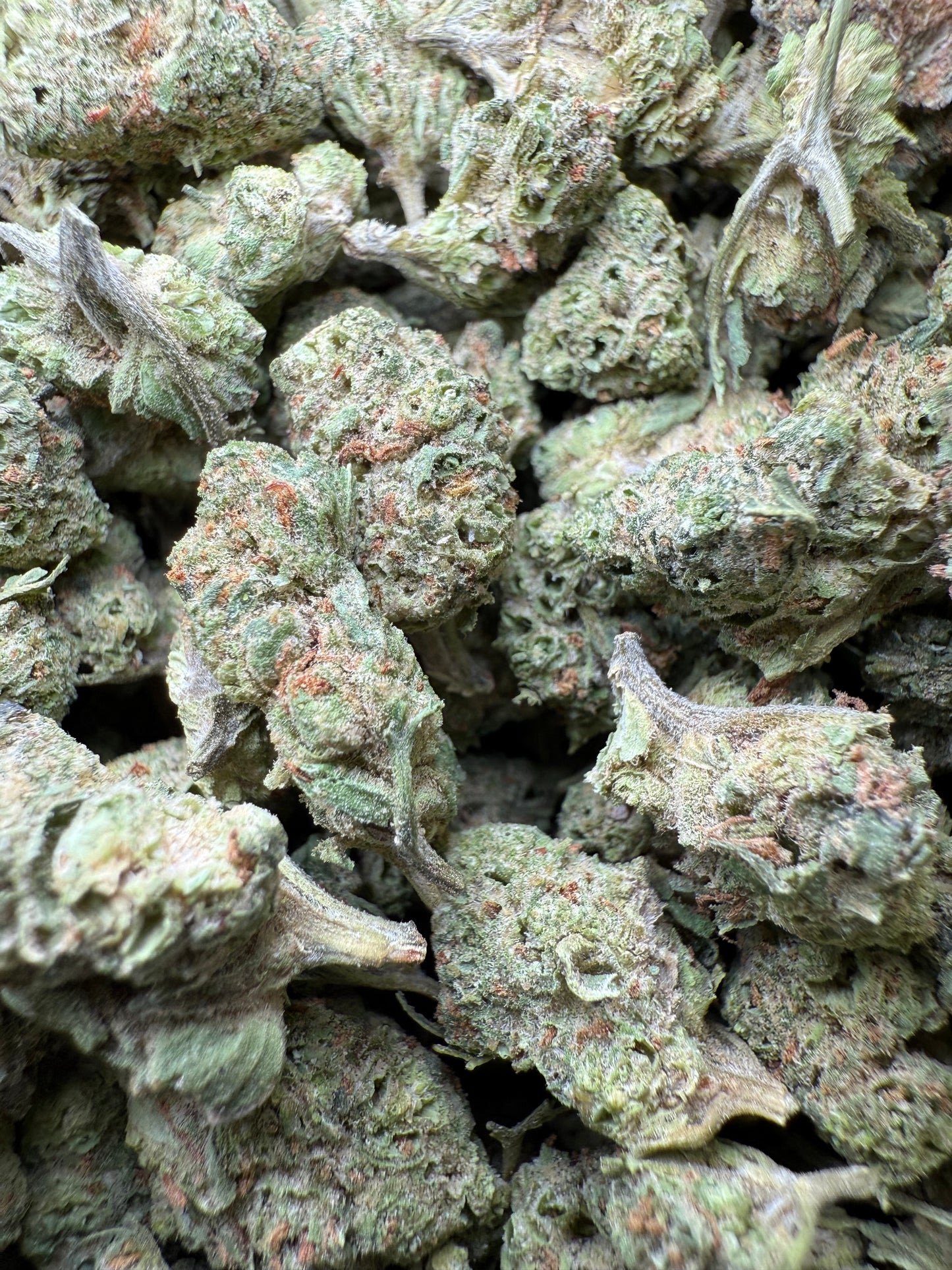 1 Pound - LA Push Pops THCA Strain (Smalls) Frisco Labs