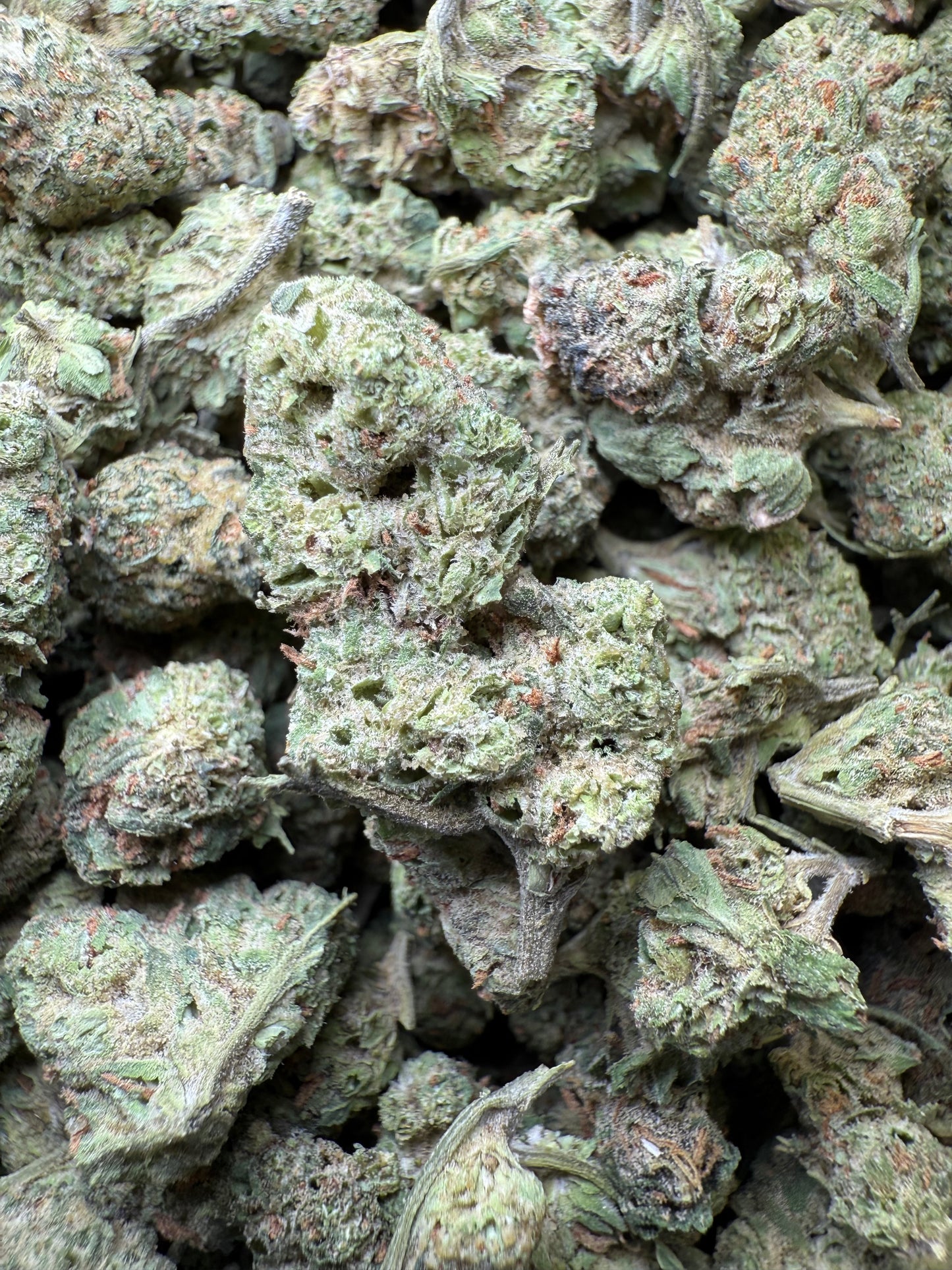 1 Pound - LA Push Pops THCA Strain (Smalls) Frisco Labs