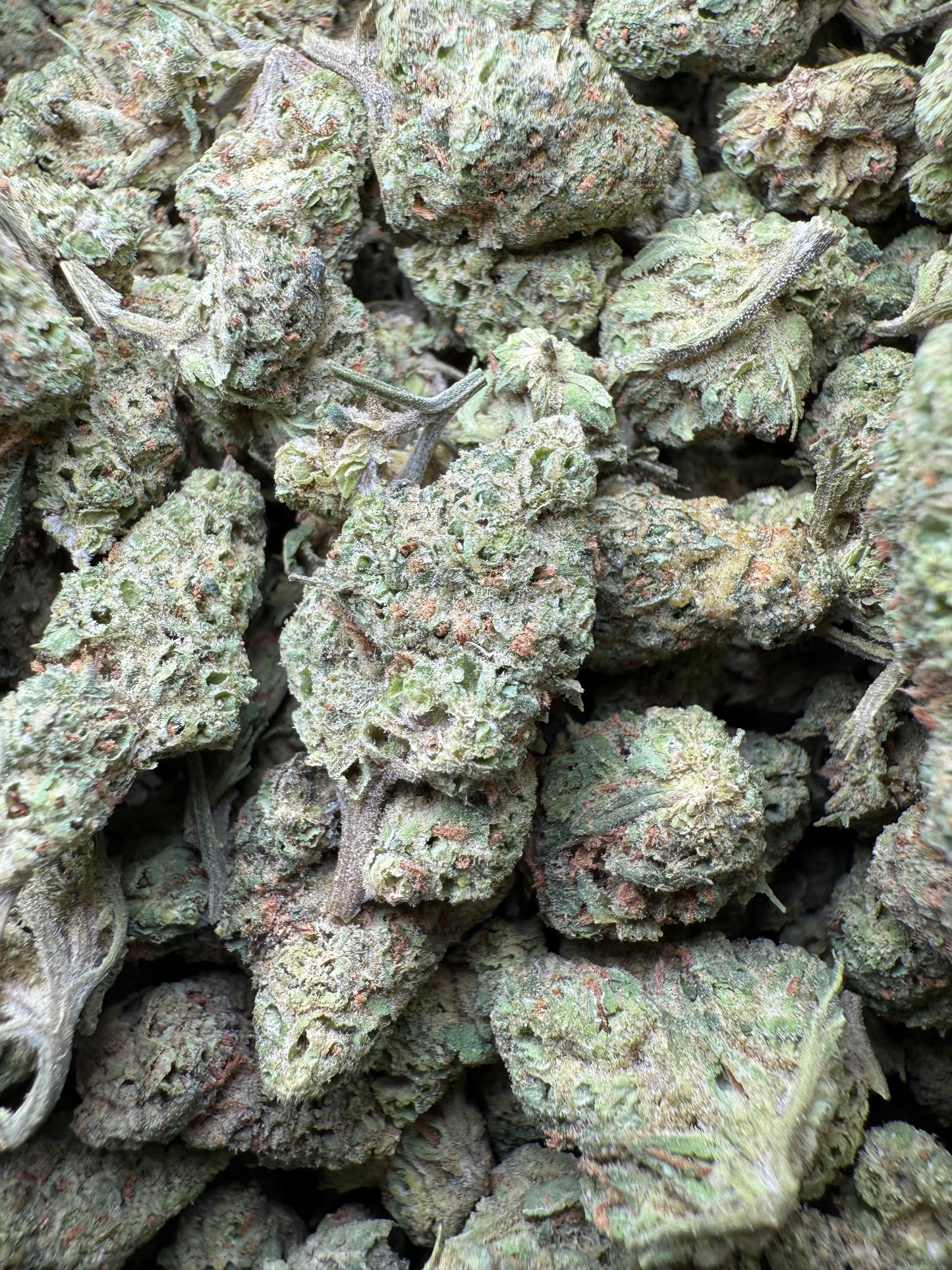 1 Pound - LA Push Pops THCA Strain (Smalls) Frisco Labs