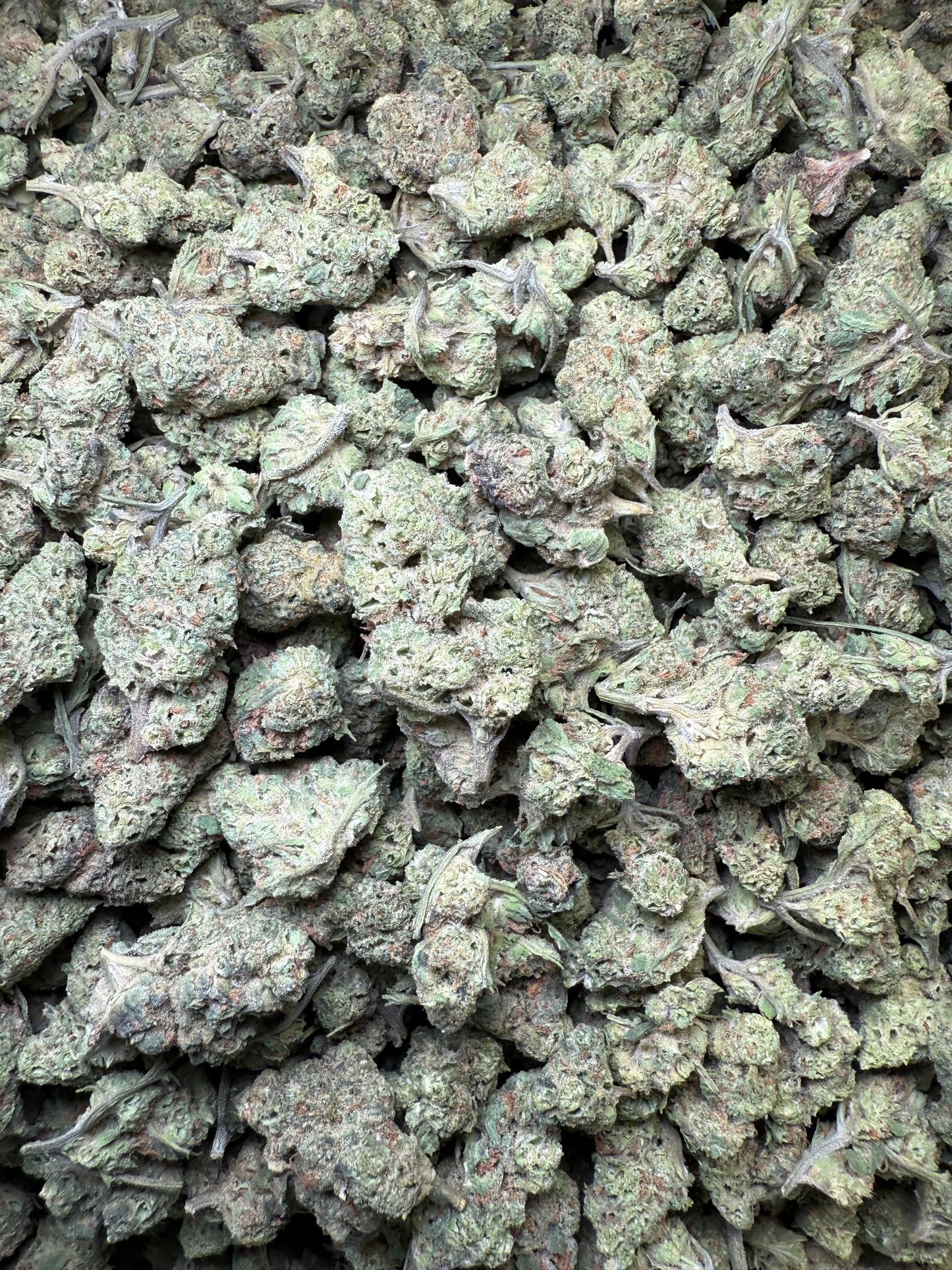 1 Pound - LA Push Pops THCA Strain (Smalls) Frisco Labs