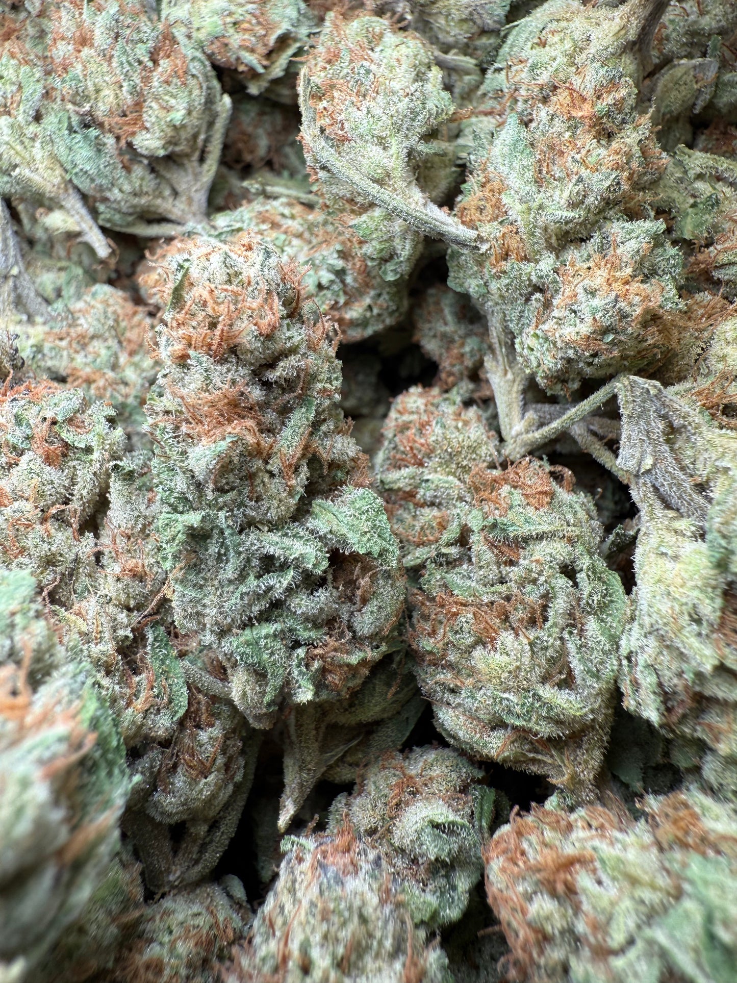1 Pound - Wedding Cake THCA Strain Frisco Labs