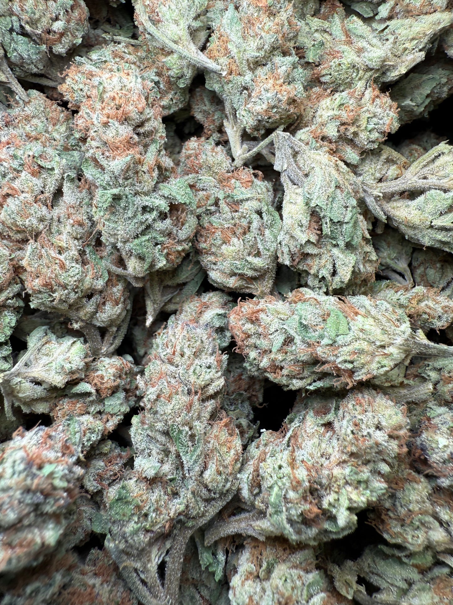 1 Pound - Wedding Cake THCA Strain Frisco Labs