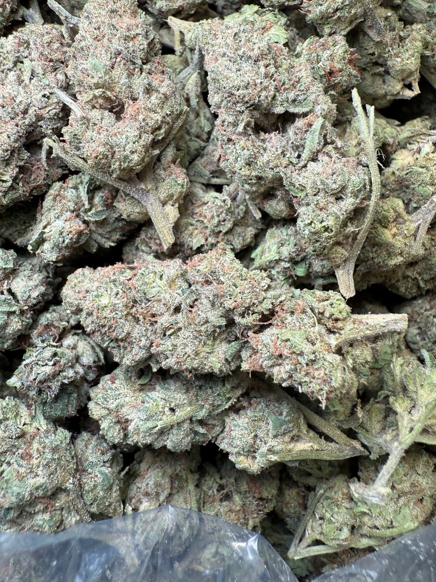 1 Pound – Mendo Montage THCA Flower Frisco Labs