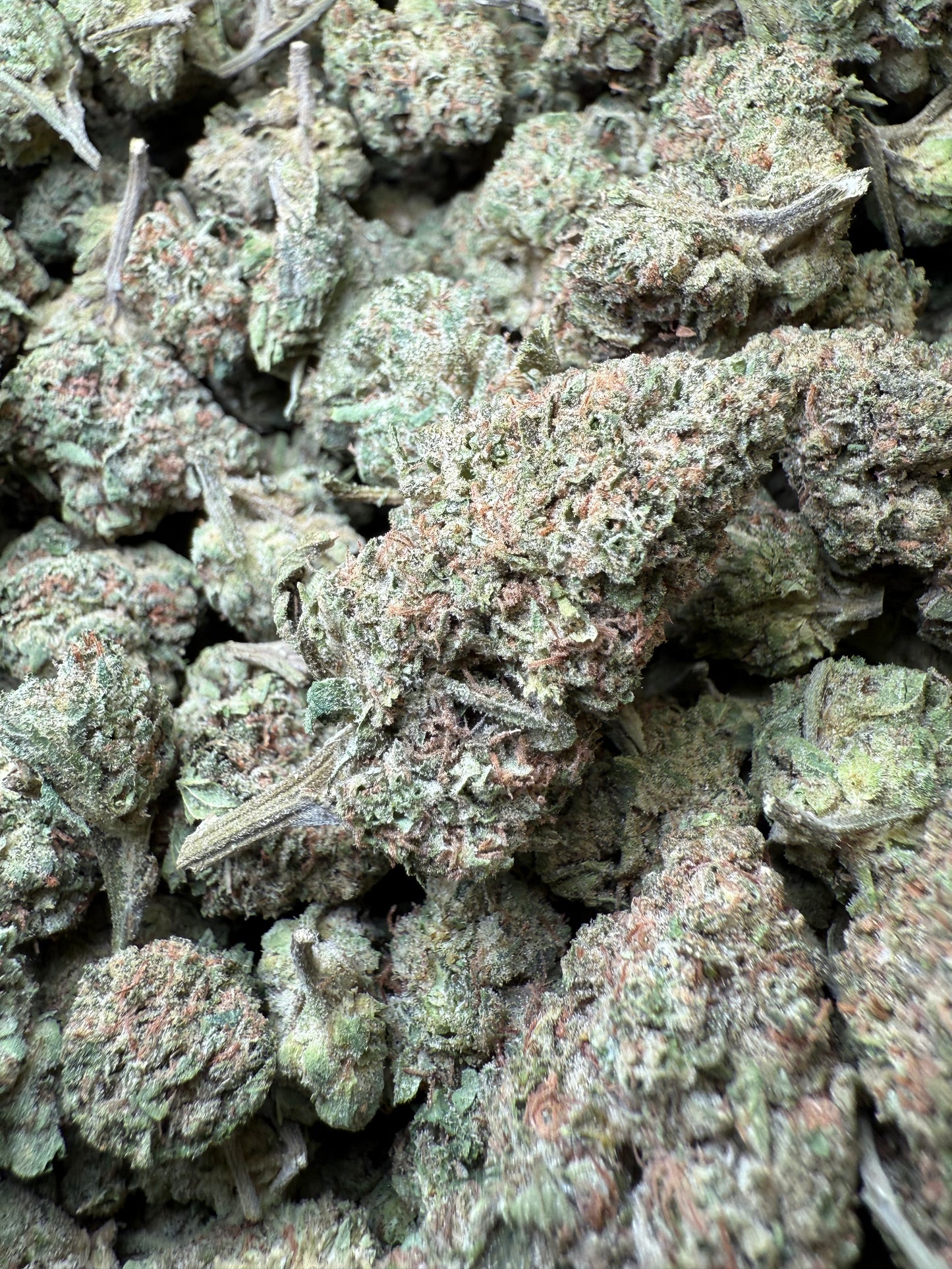 1 Pound – Mendo Montage THCA Flower Frisco Labs