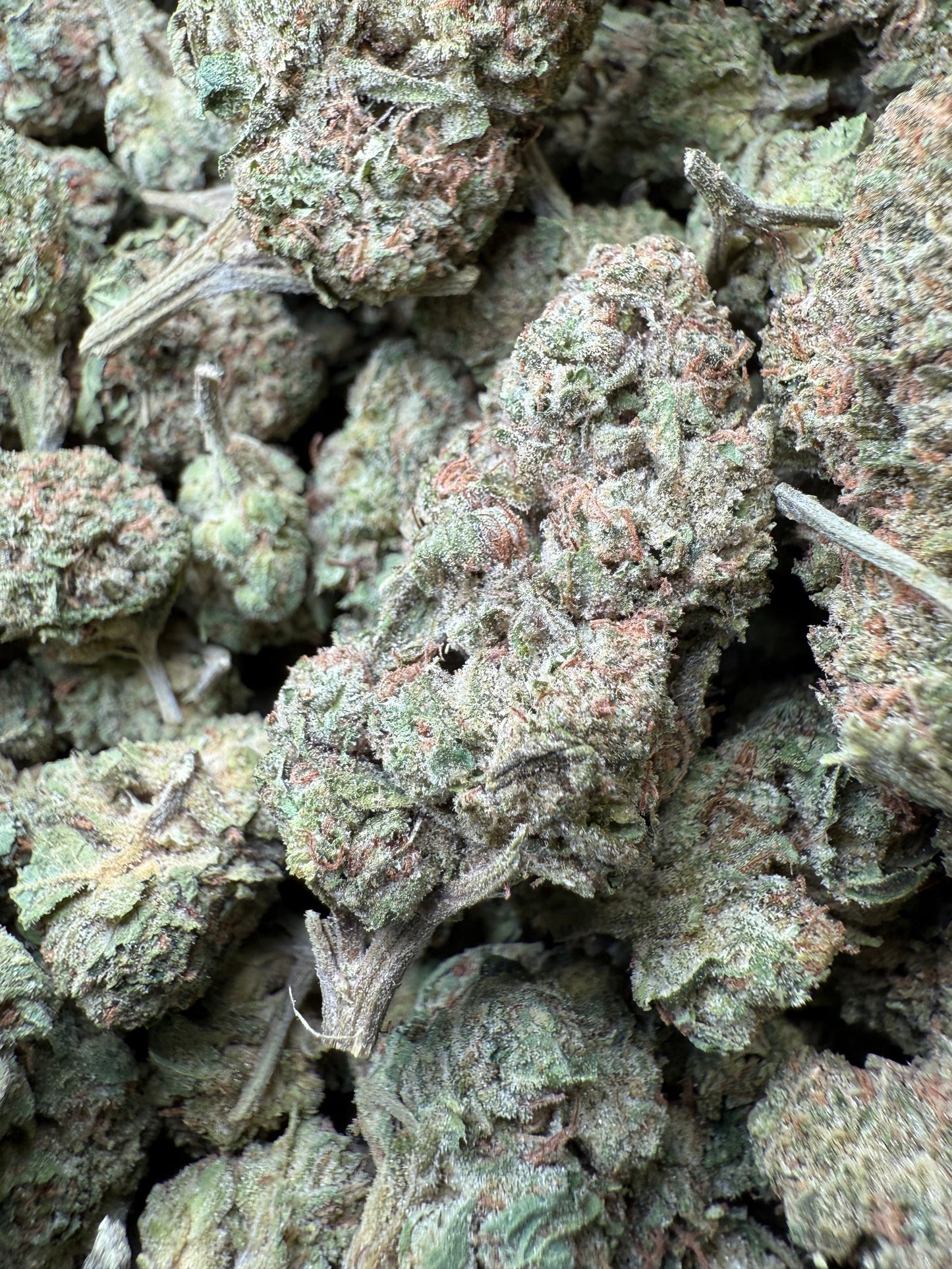 1 Pound – Mendo Montage THCA Flower Frisco Labs