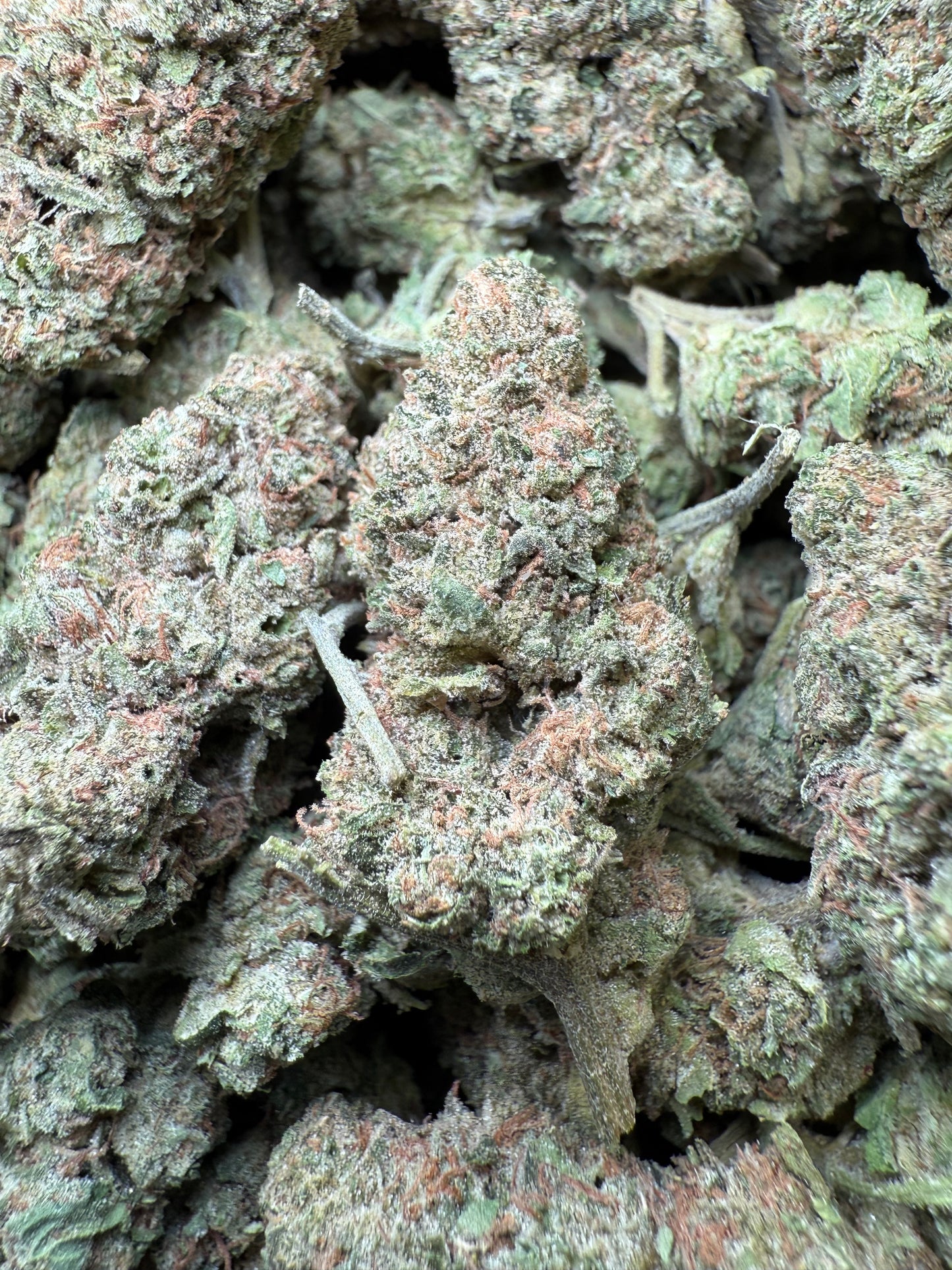 1 Pound – Mendo Montage THCA Flower Frisco Labs