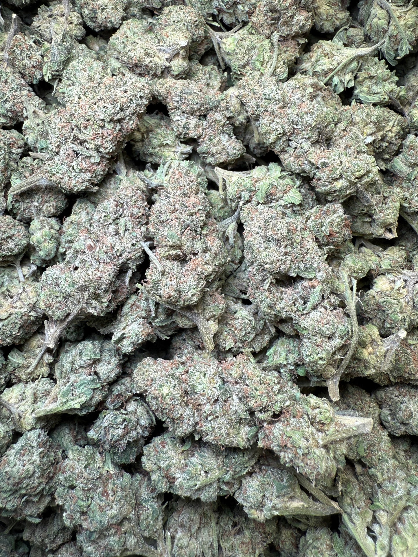 1 Pound – Mendo Montage THCA Flower Frisco Labs