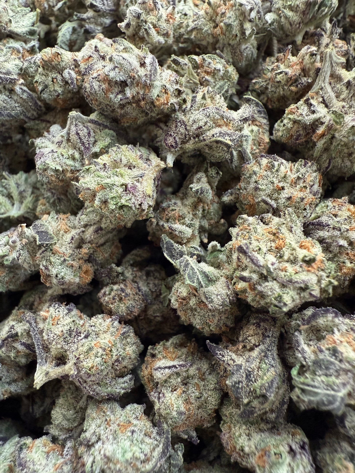 (1 Pound AAA Apple Tartz THCA Small - FL Fulfillment Center