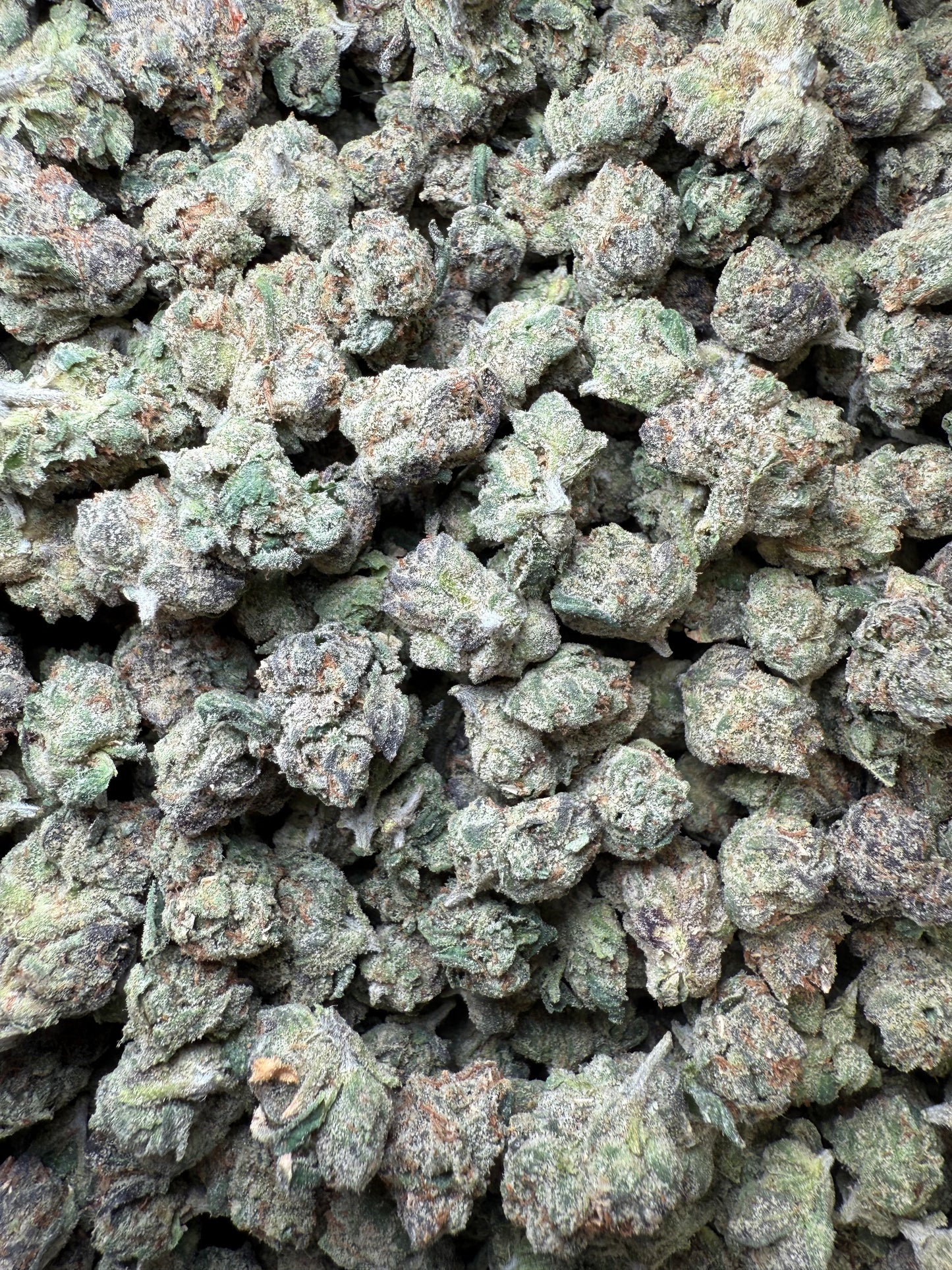 1 Pound - AAA Blue Nerdz Small FL Fulfillment Center