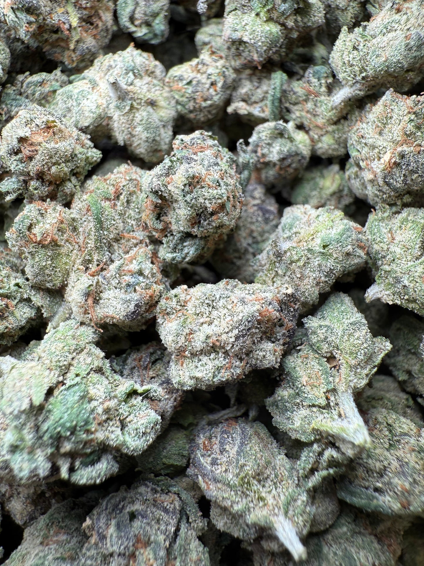 1 Pound - AAA Blue Nerdz Small FL Fulfillment Center