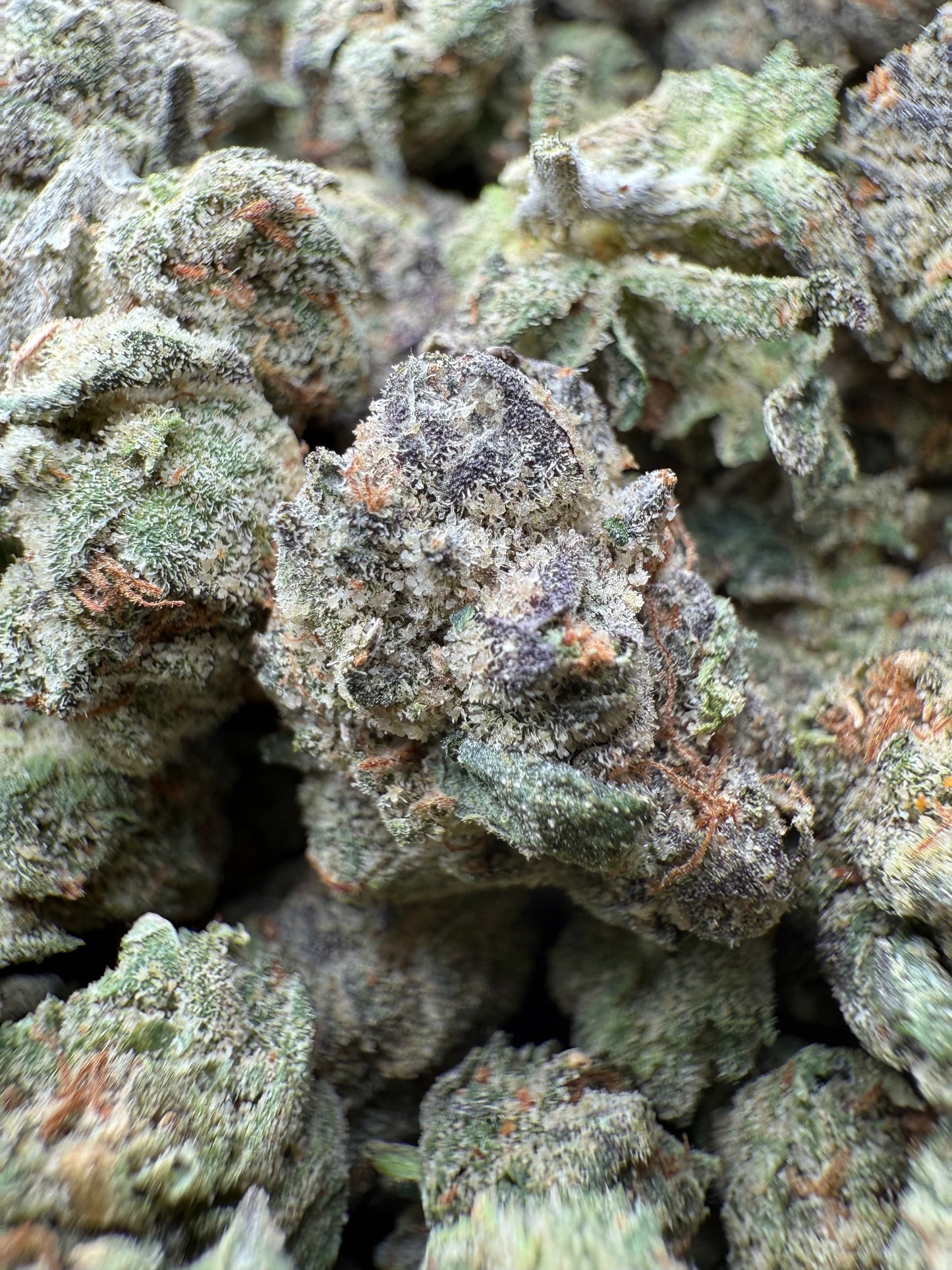 1 Pound - AAA Blue Nerdz Small FL Fulfillment Center