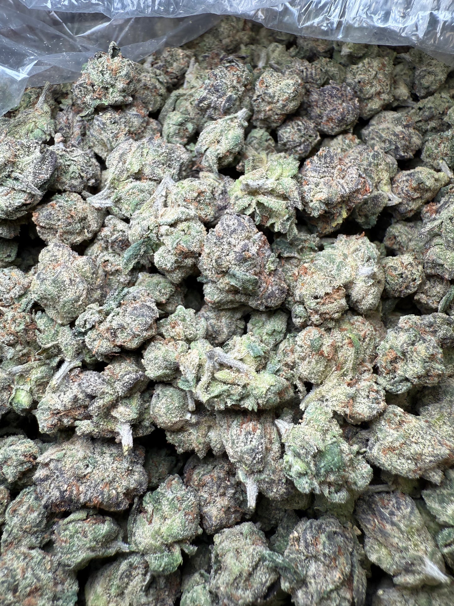 1 Pound - AAA Blue Nerdz Small FL Fulfillment Center