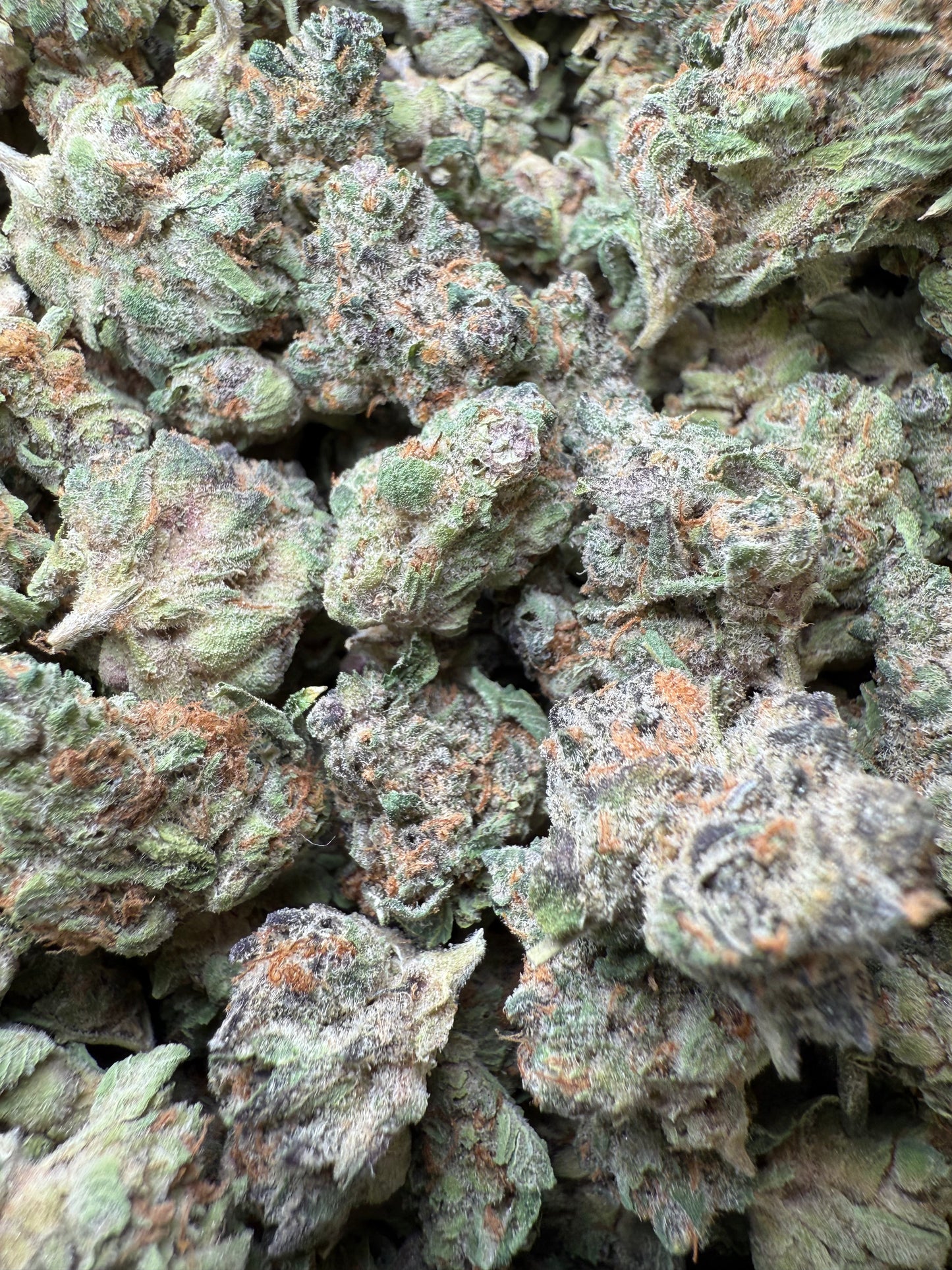 1 Pound - AAA Candy Rain THCA Strain (Small) Frisco Labs