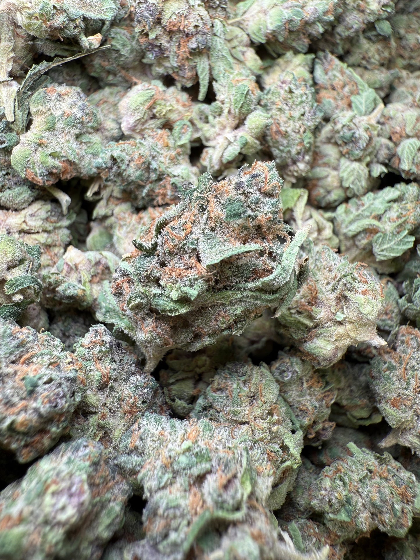 1 Pound - AAA Candy Rain THCA Strain (Small) Frisco Labs