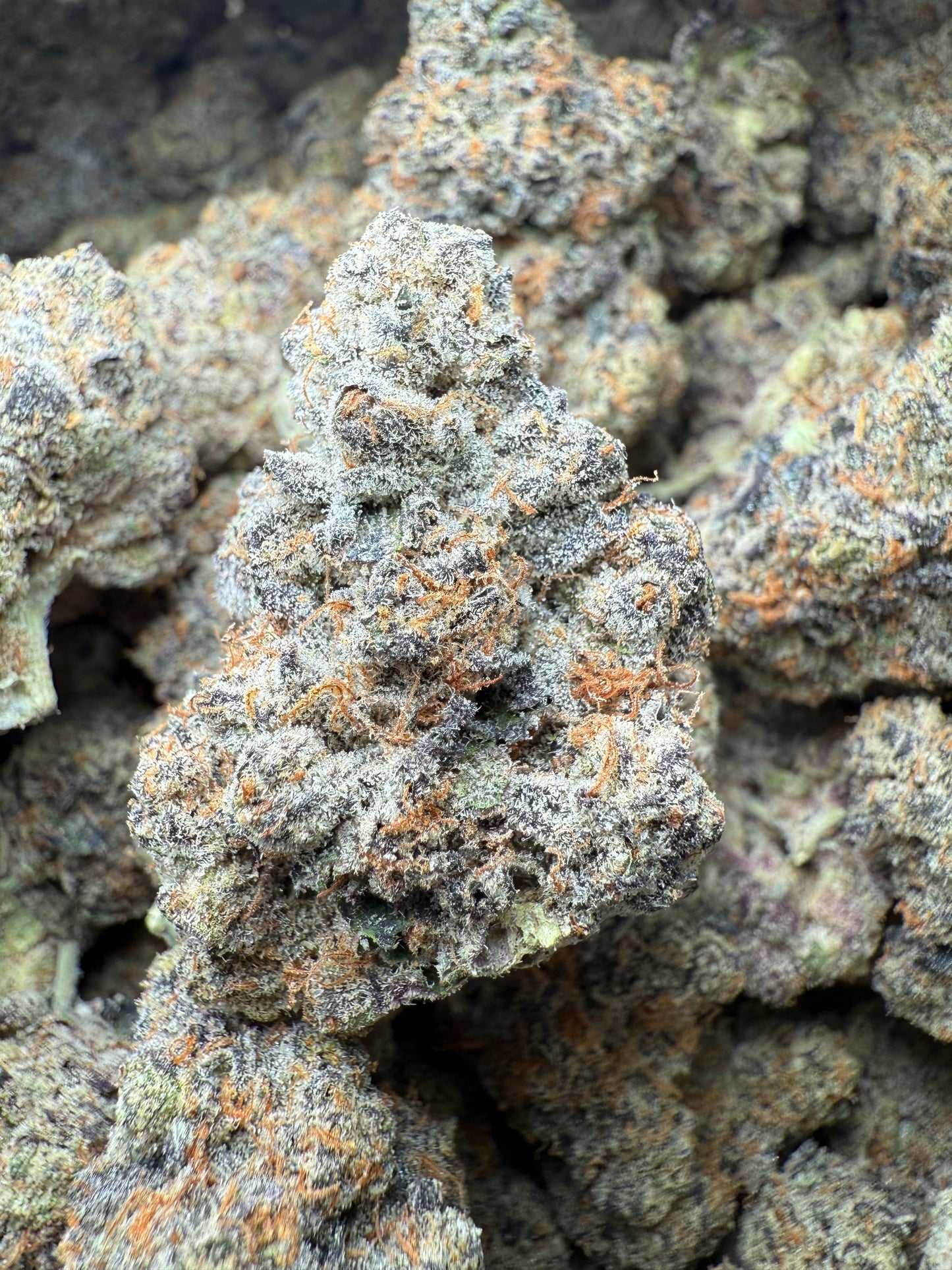 1 Pound AAA - Carbon Fiber THCA Strain Frisco Labs