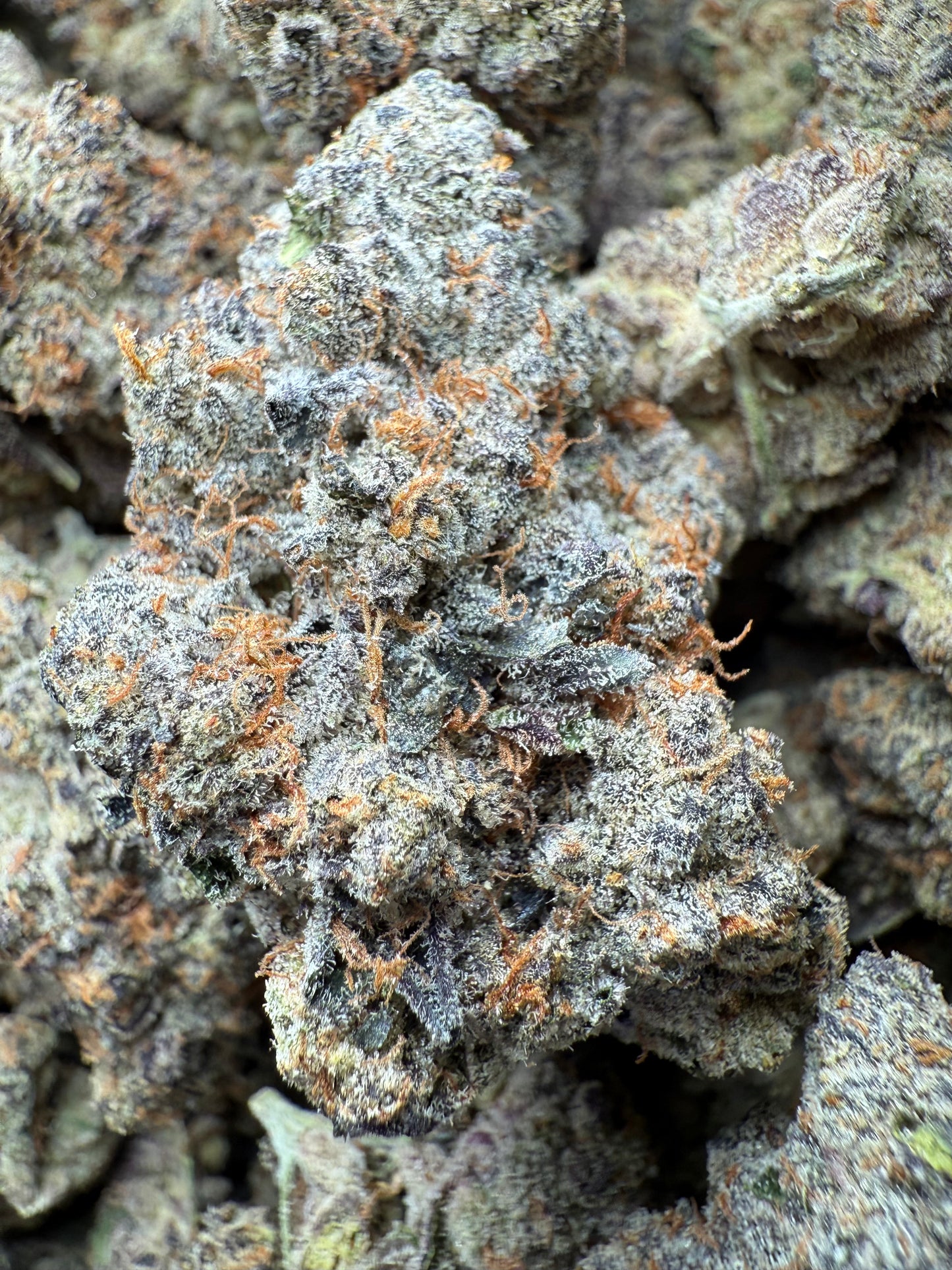 1 Pound AAA - Carbon Fiber THCA Strain Frisco Labs
