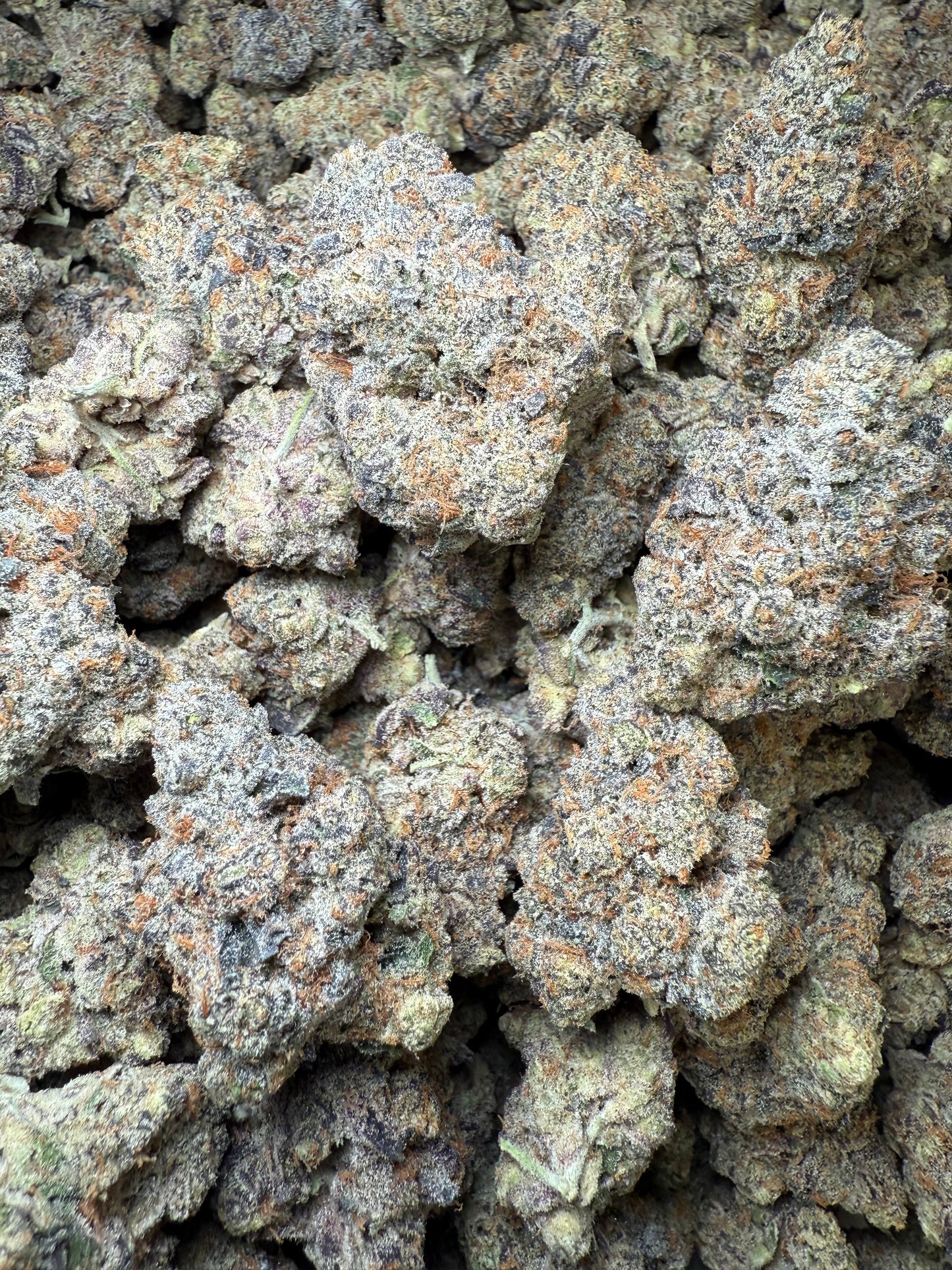 1 Pound AAA - Carbon Fiber THCA Strain Frisco Labs