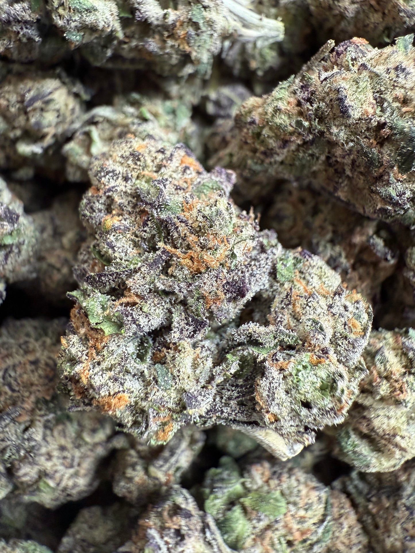 1 Pound - AAA Grape Gasoline THCA FL Fulfillment Center