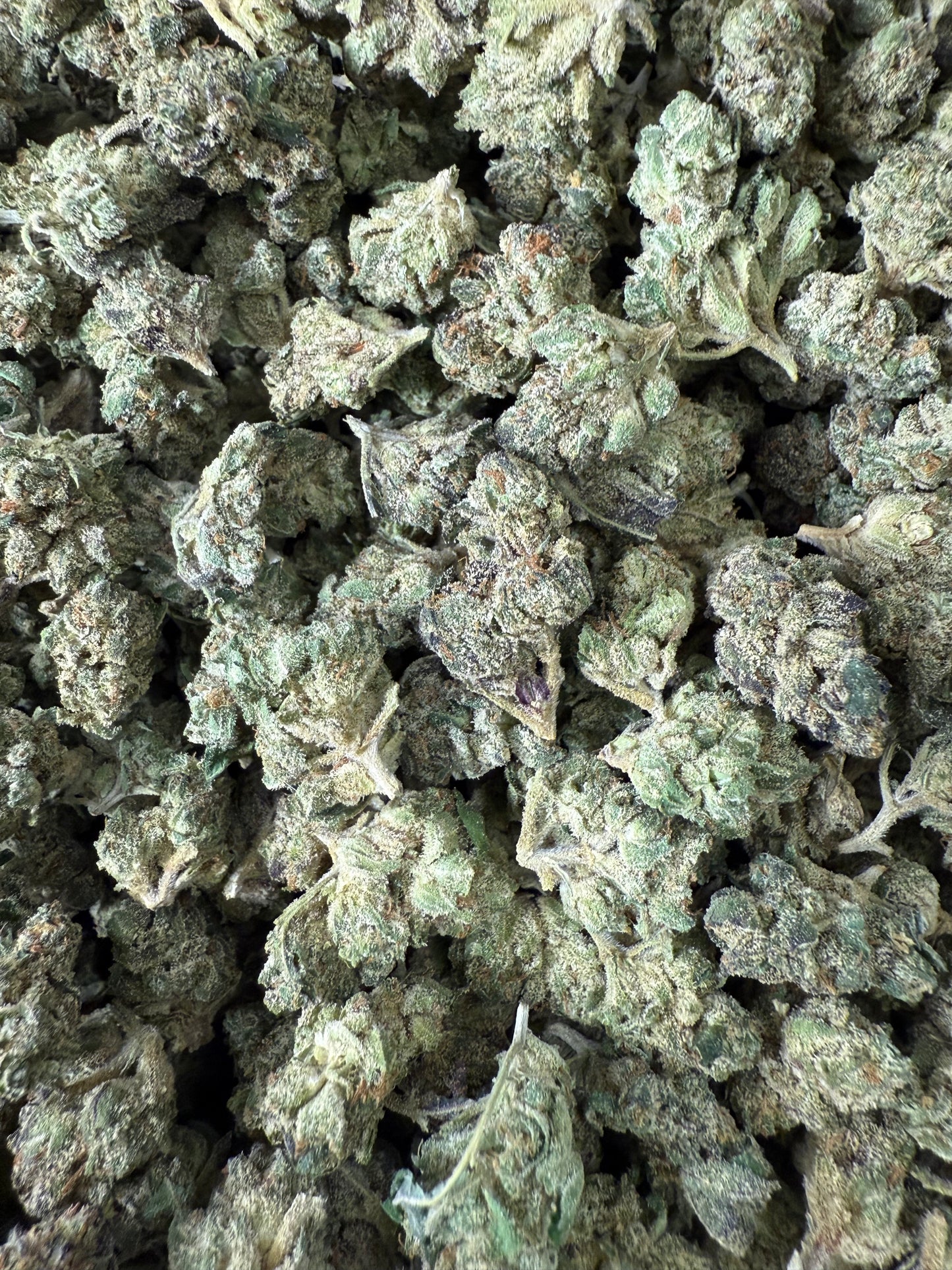 1 Pound AAA Ice Cream THCA (Smalls) FL Fulfillment Center