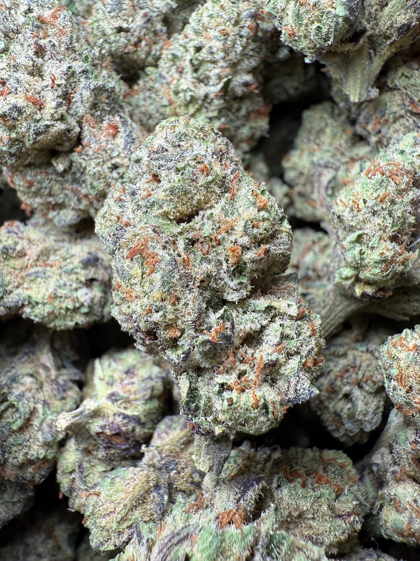 1 Pound - AAA - Los Angeles Kush Cake THCA FL Fulfillment Center