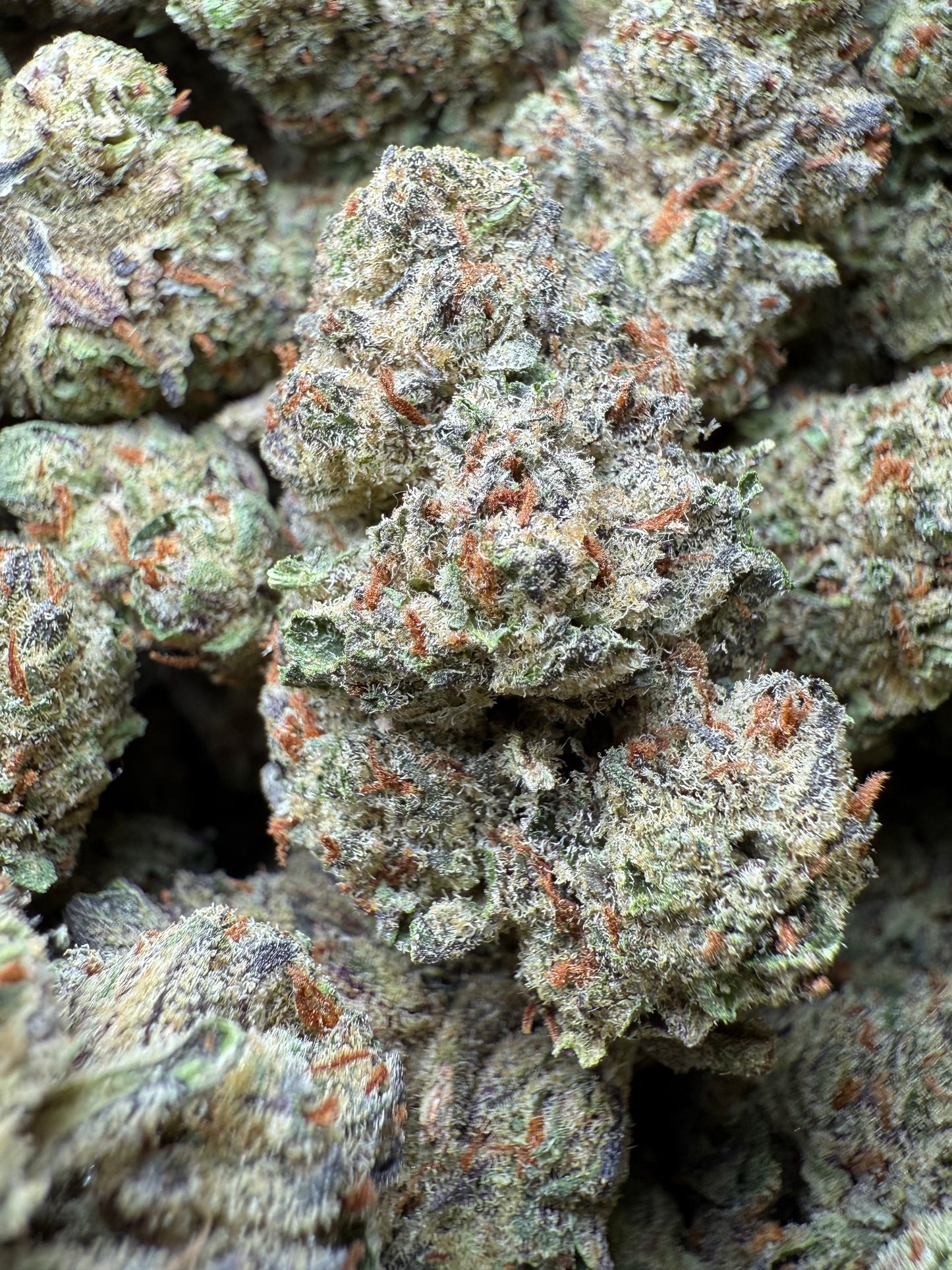 1 Pound - AAA - Los Angeles Kush Cake THCA FL Fulfillment Center