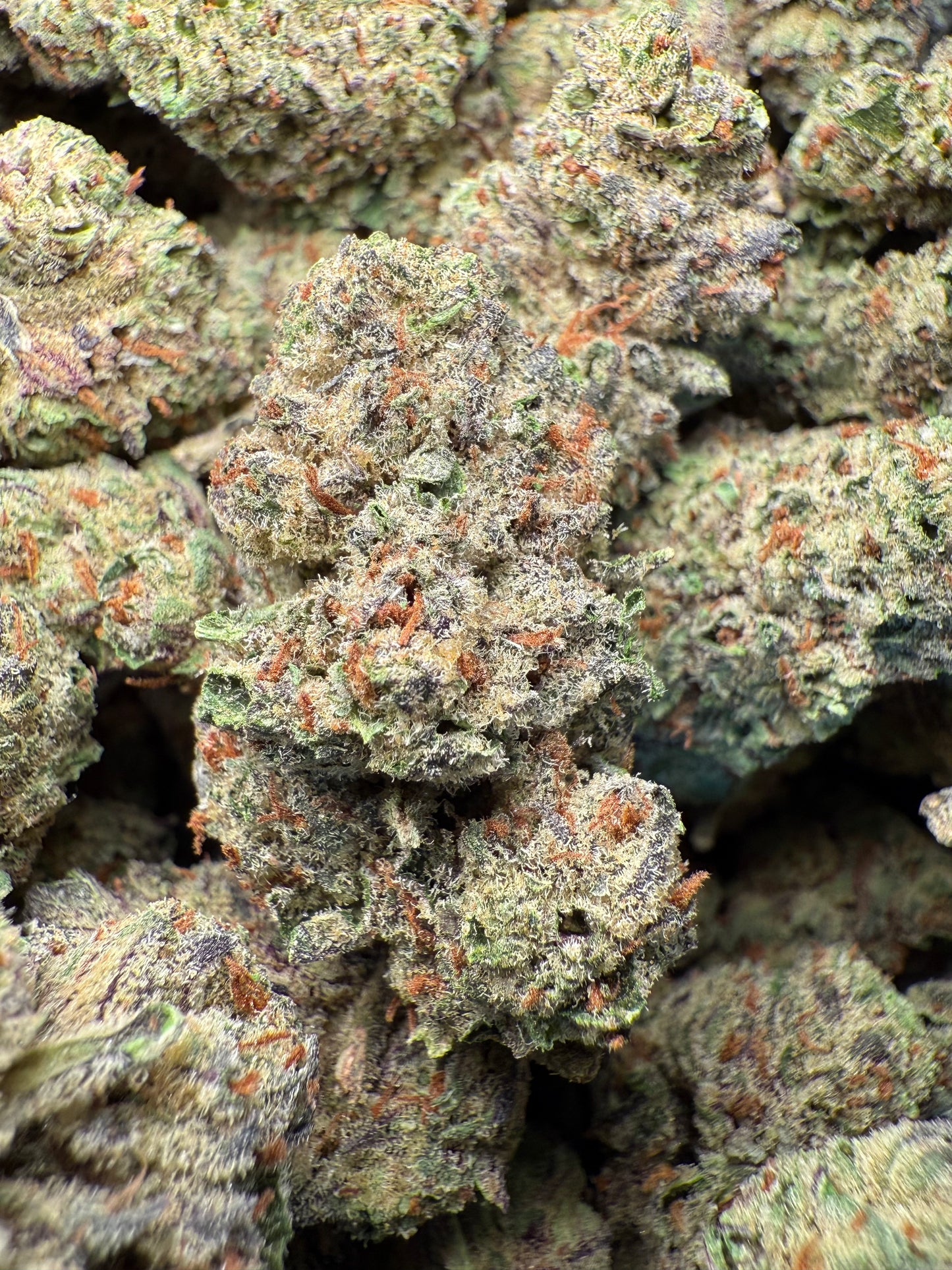 1 Pound - AAA - Los Angeles Kush Cake THCA FL Fulfillment Center