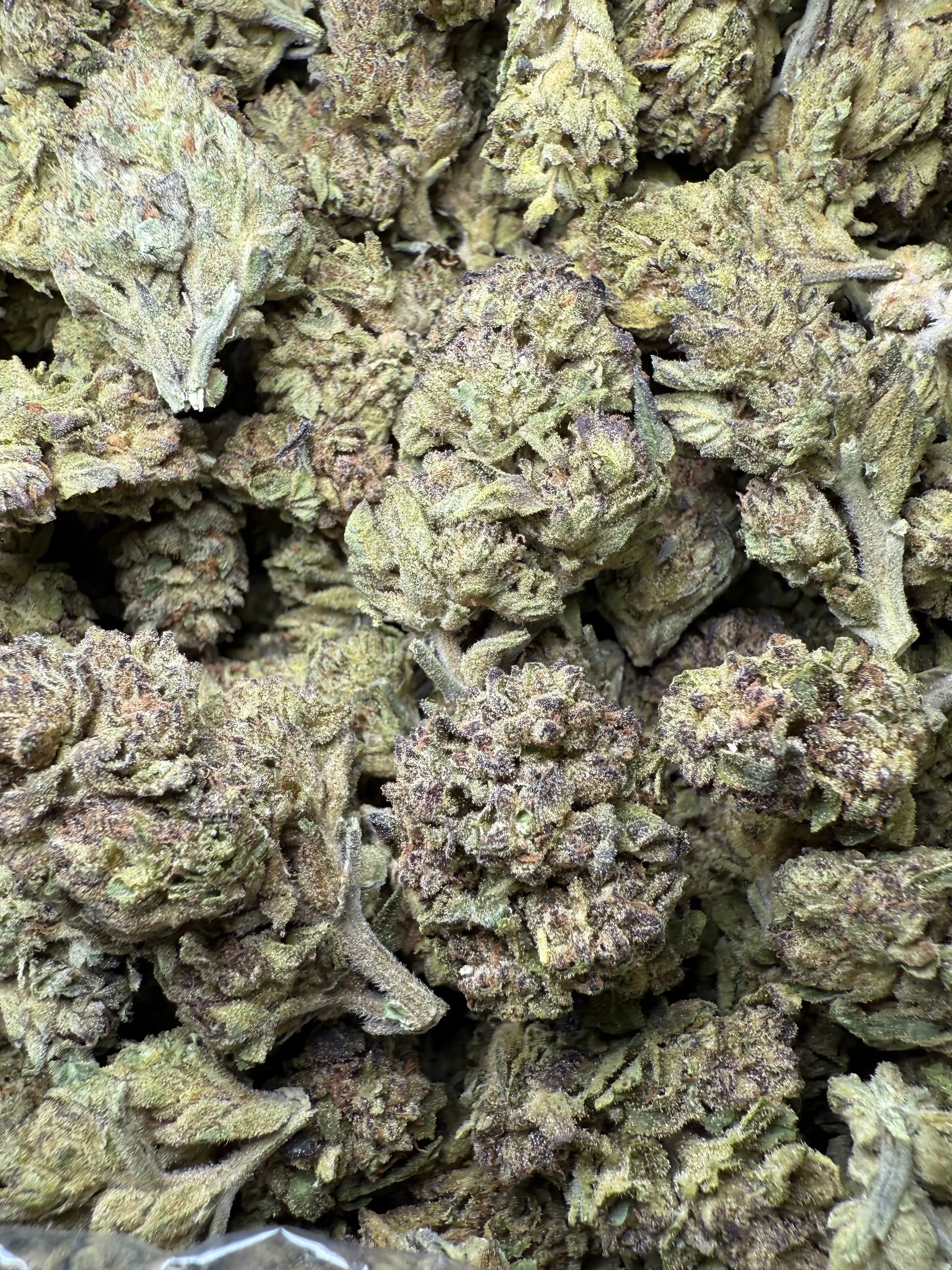 1 Pound - BCC Jealousy Strain THCA Frisco Labs