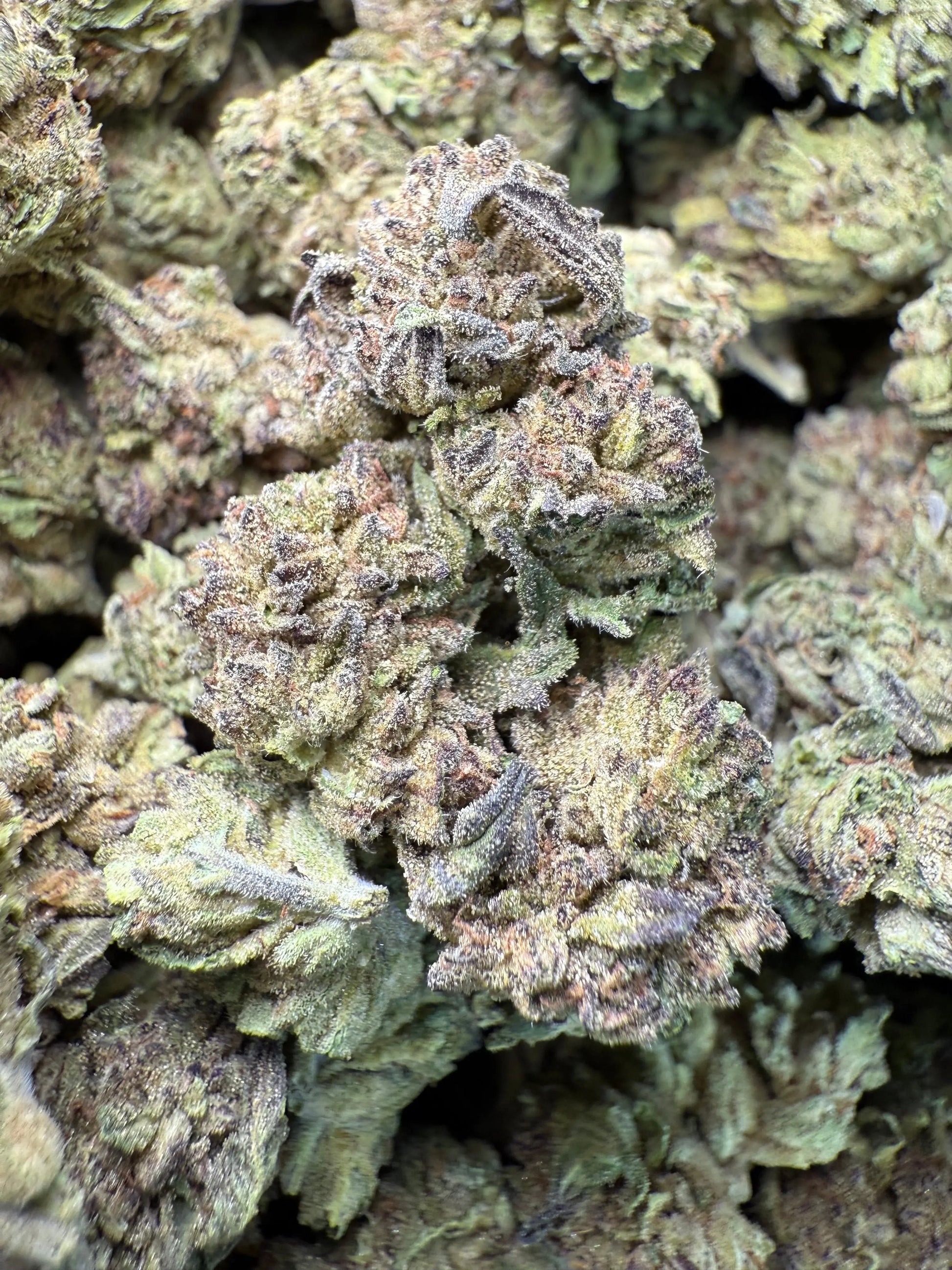 1 Pound - BCC Jealousy Strain THCA Frisco Labs