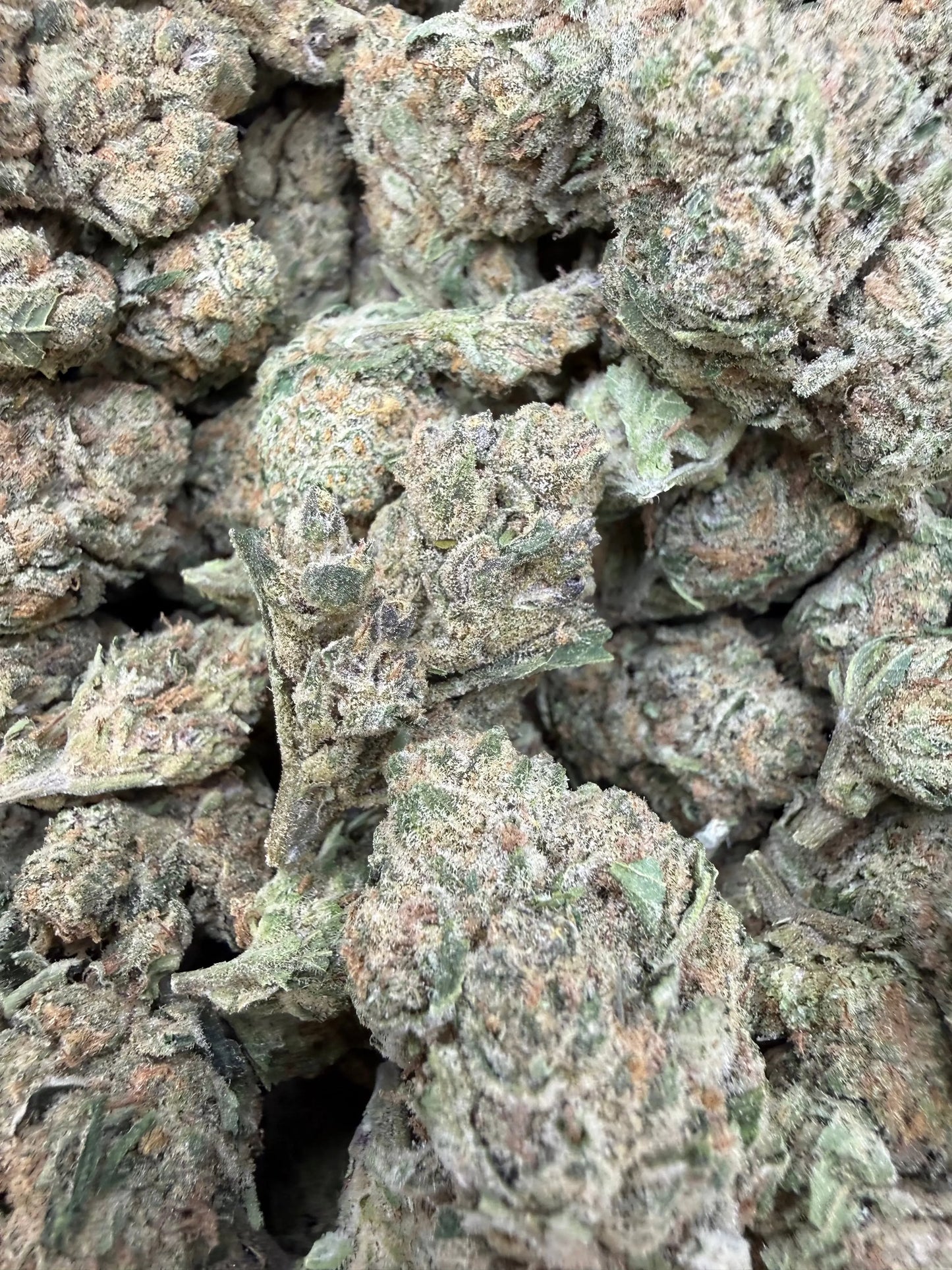 1 Pound - Banana Chocolope THCA Strain Frisco Labs