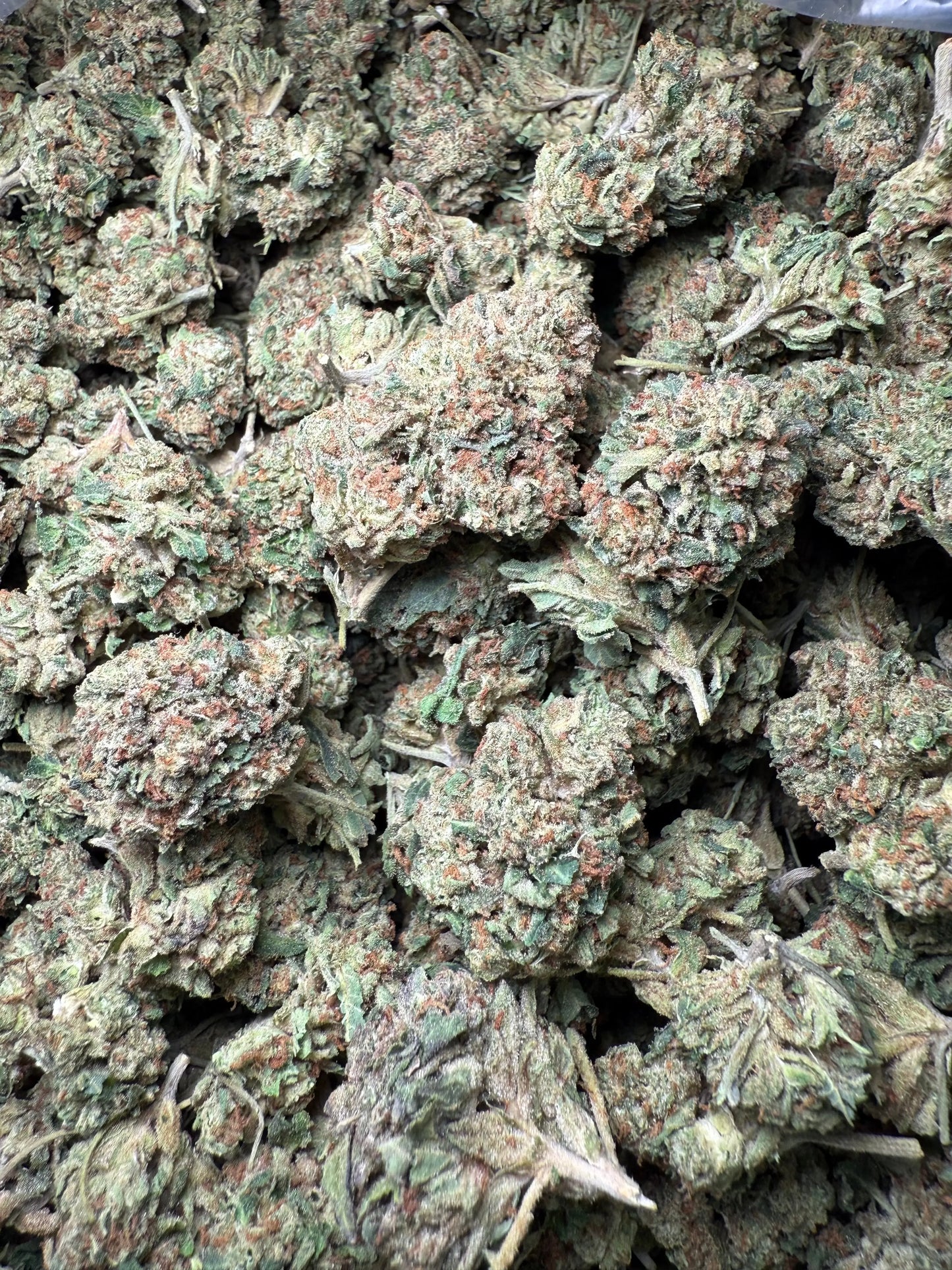 1 Pound Biscotti Sundae THCA FL Fulfillment Center