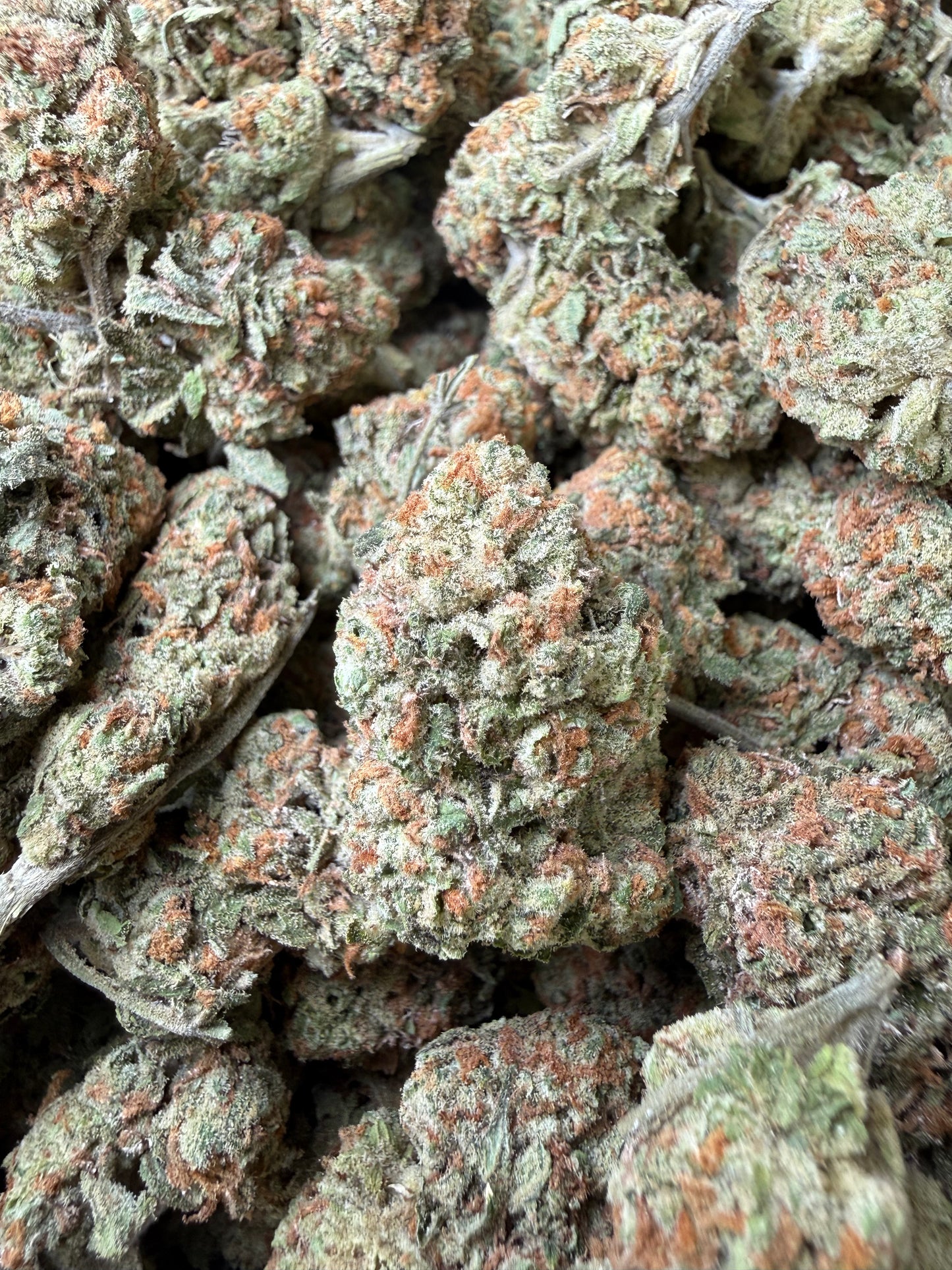 1 Pound - Blueberry Pancakes THCA Strain Frisco Labs