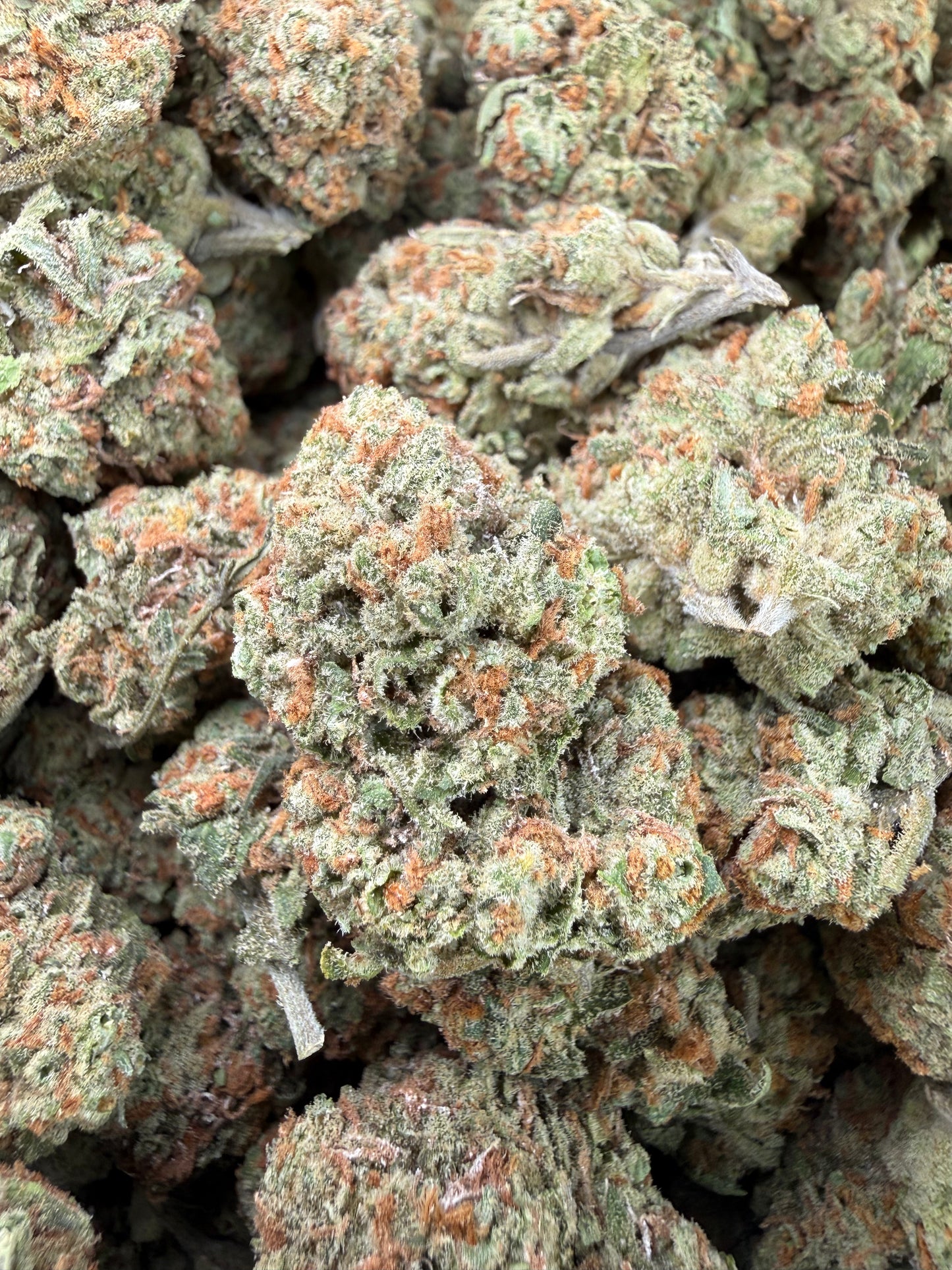 1 Pound - Blueberry Pancakes THCA Strain Frisco Labs