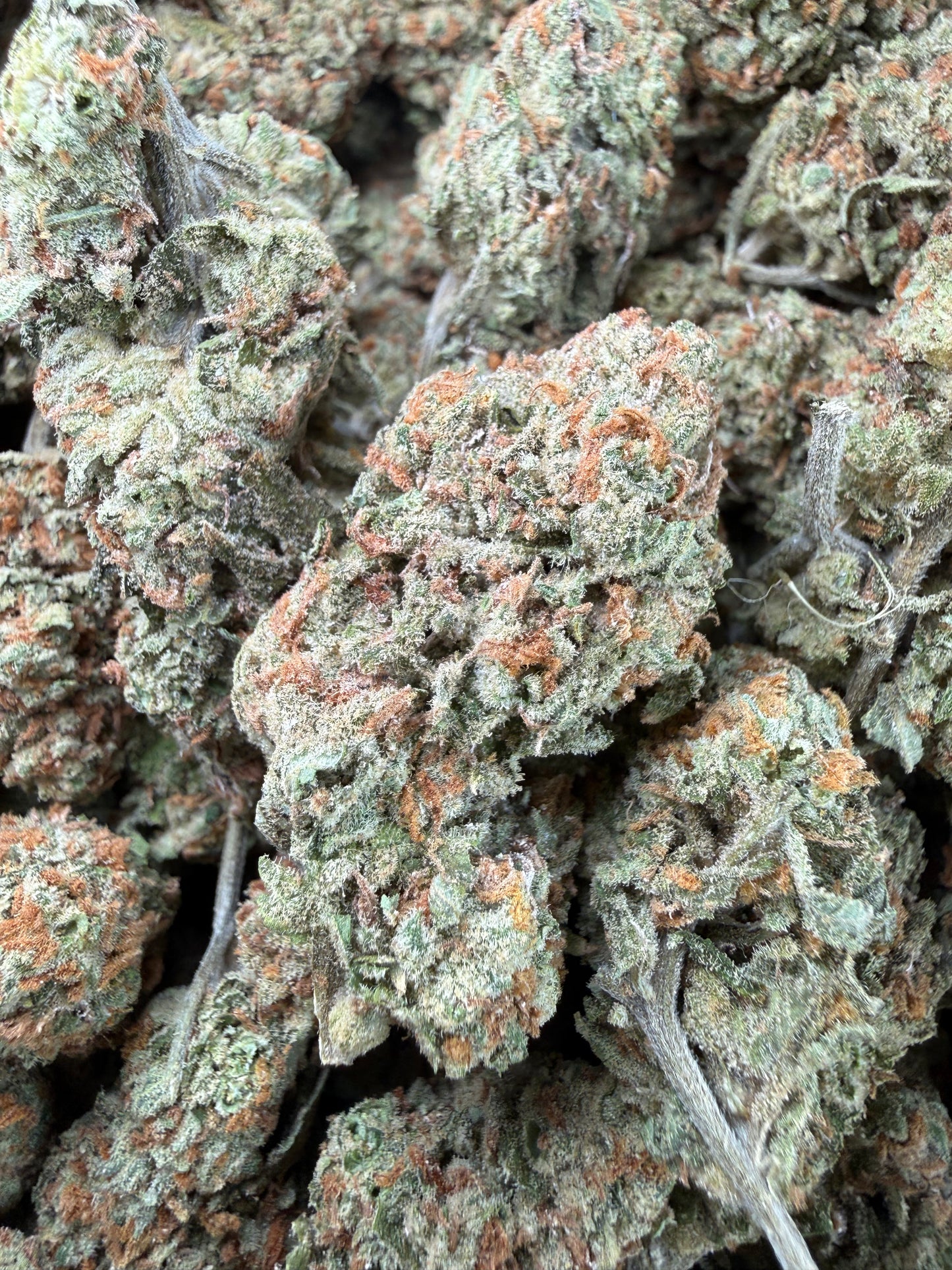 1 Pound - Blueberry Pancakes THCA Strain Frisco Labs