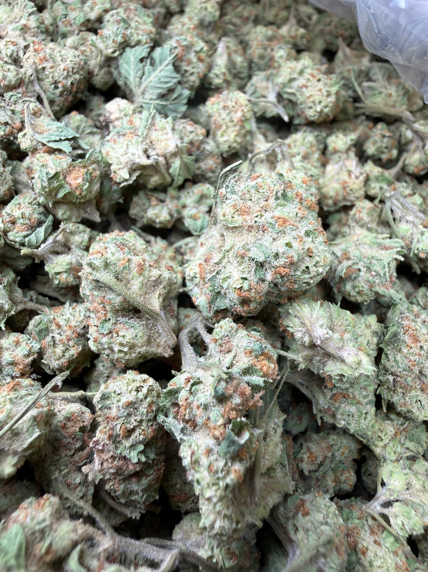 1 Pound - Blueberry Pancakes THCA Strain (Smalls) Frisco Labs