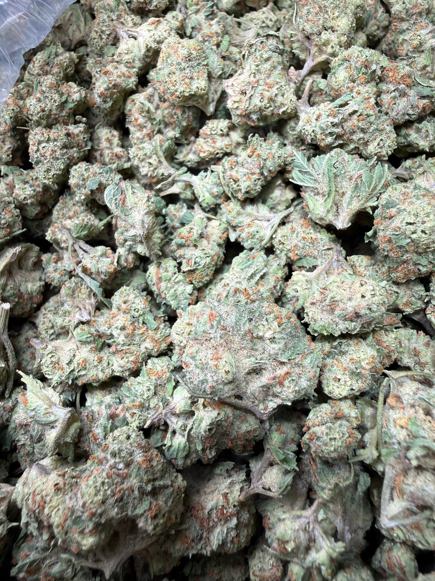 1 Pound - Blueberry Pancakes THCA Strain (Smalls) Frisco Labs