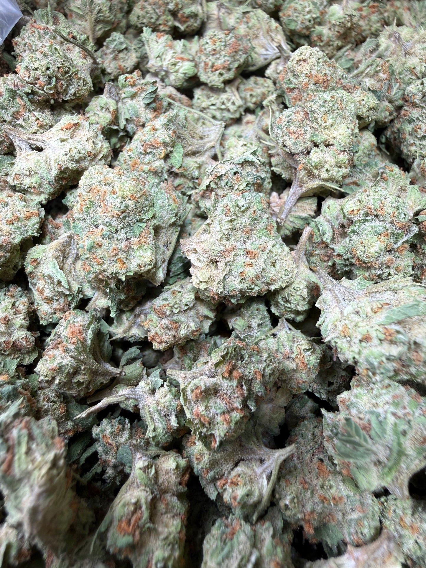 1 Pound - Blueberry Pancakes THCA Strain (Smalls) Frisco Labs